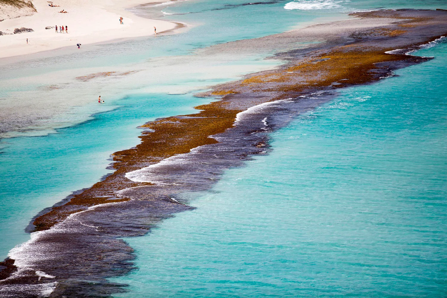 Esperance_PlacesWeSwim.jpg