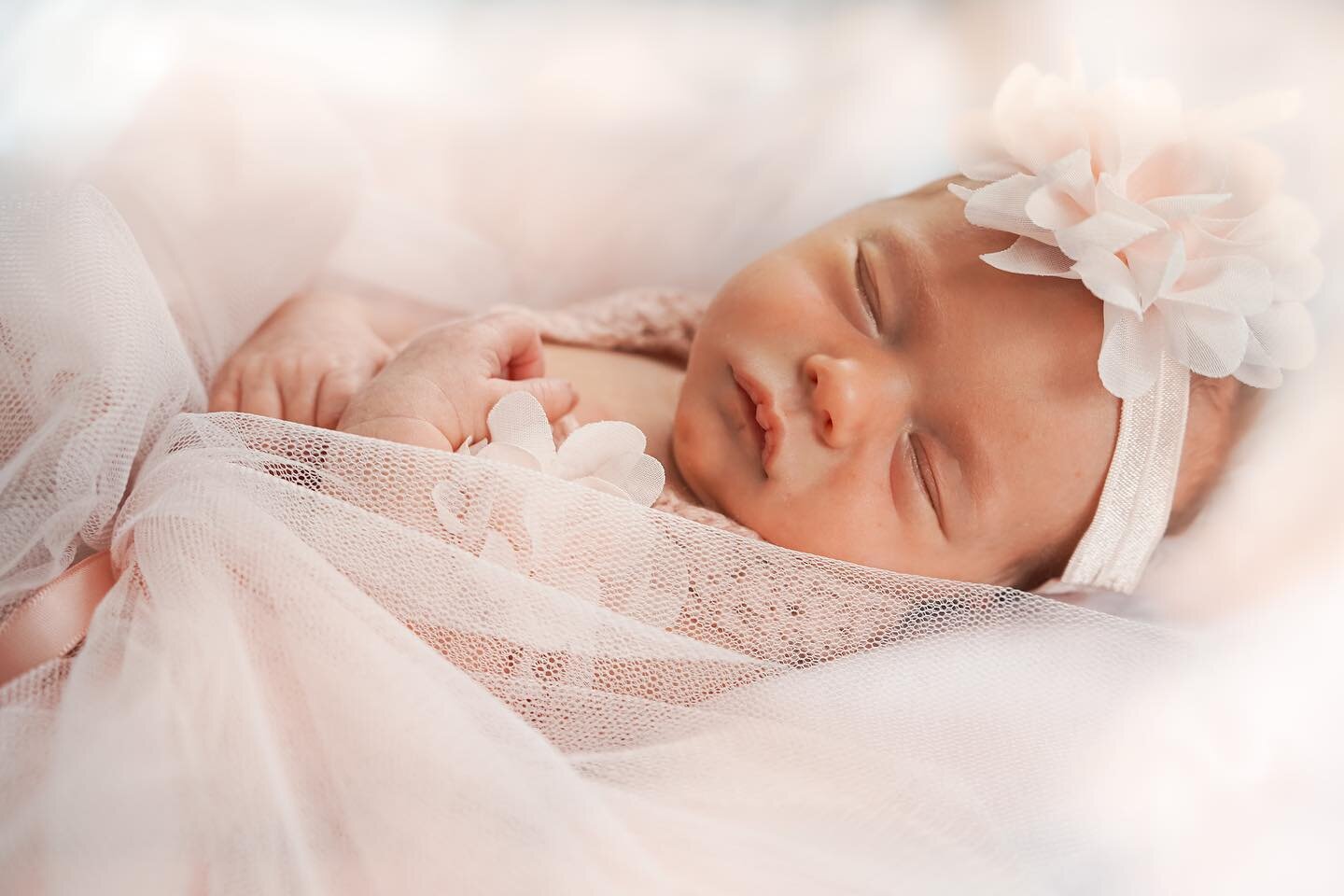 Excited to do a newborn session today and see some old friends 🥰
Throwback to lylahs newborn session!!! Can&rsquo;t believe she&rsquo;s about to be a big sister!

#photosbyalexgrace #daytonphotographer #daytonphotography #ohiophotographer #ohiophoto