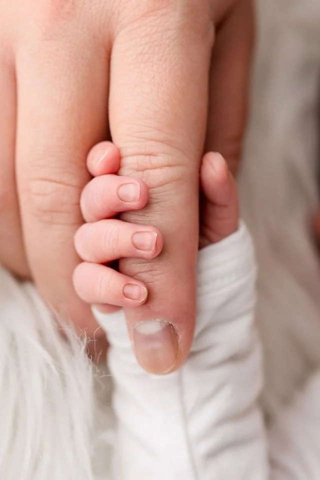 Why You Should Invest in Professional Newborn Photography in the San Francisco Bay Area