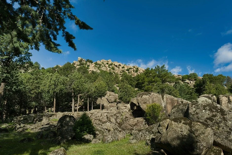 one of the best parks in walnut creek ca castle rock regional recreational area