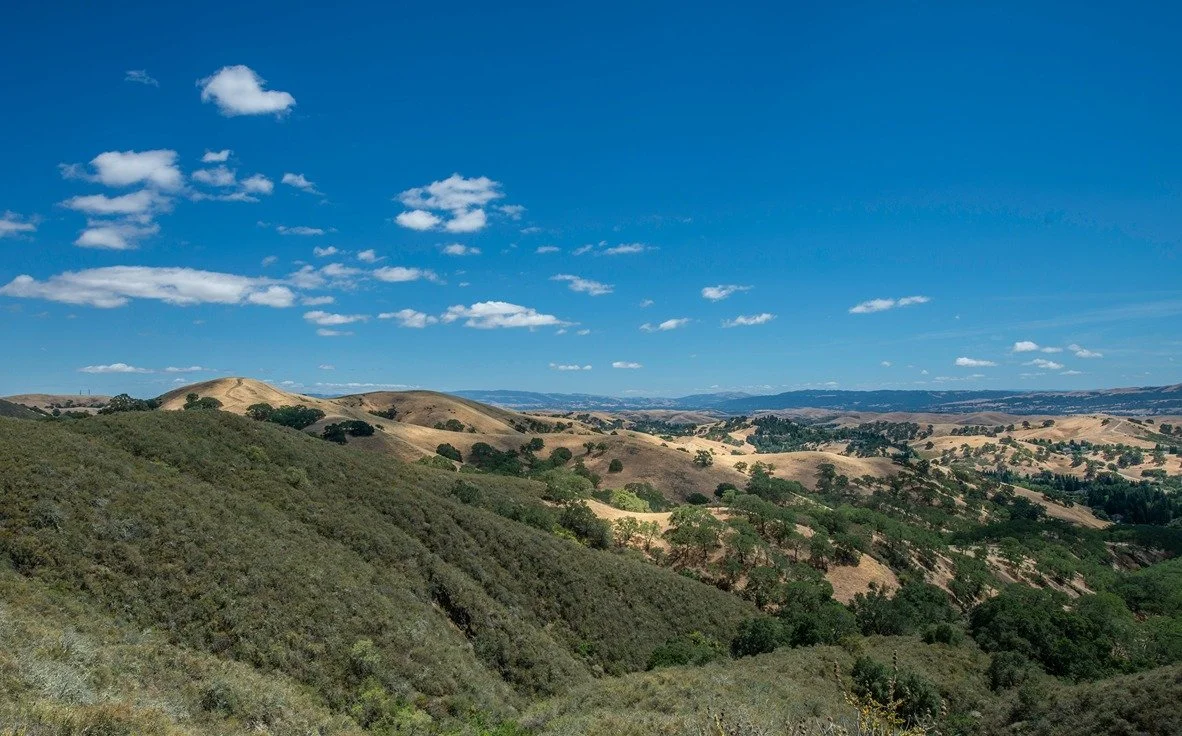 mount diablo state park a park in walnut creek california