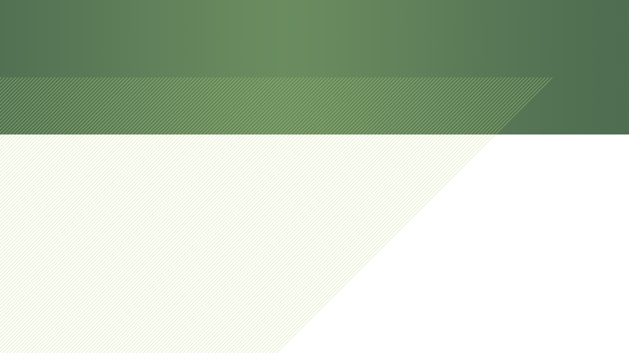 ACHPN_Website-Look-Development-2.png