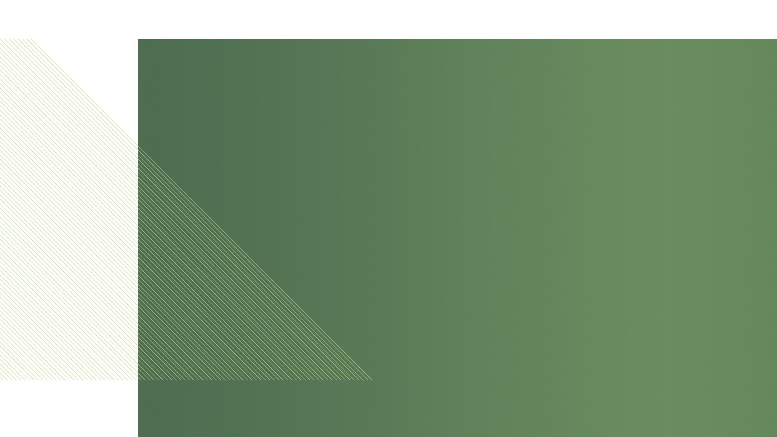 ACHPN_Website-Look-Development-3.jpg