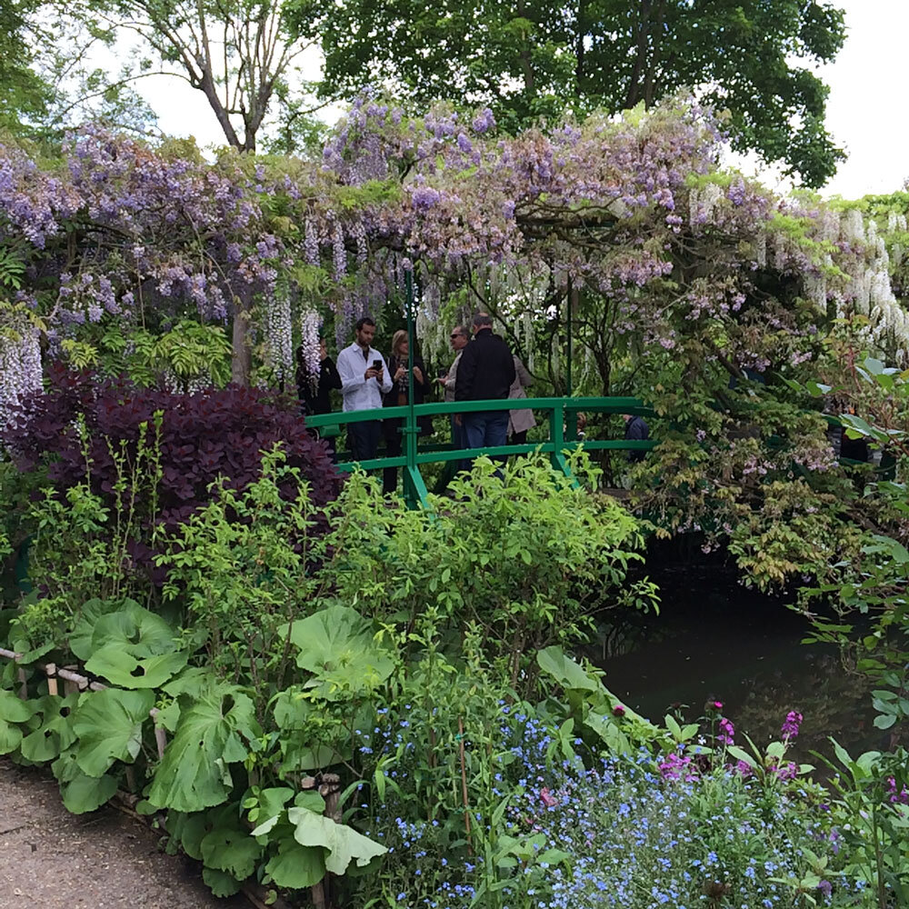 Giverney-wisteria-bridge-susan-nethercote.jpg