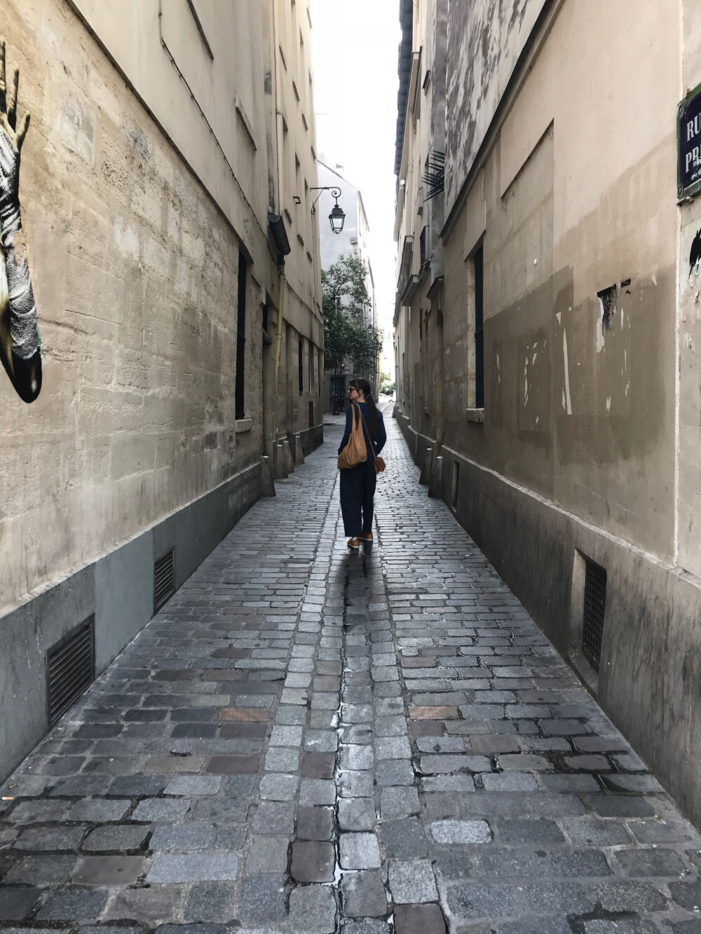 walking-a-paris-street-susan-nethercote.jpg