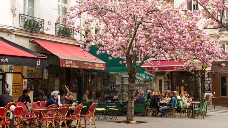 Paris cafe spring.jpg