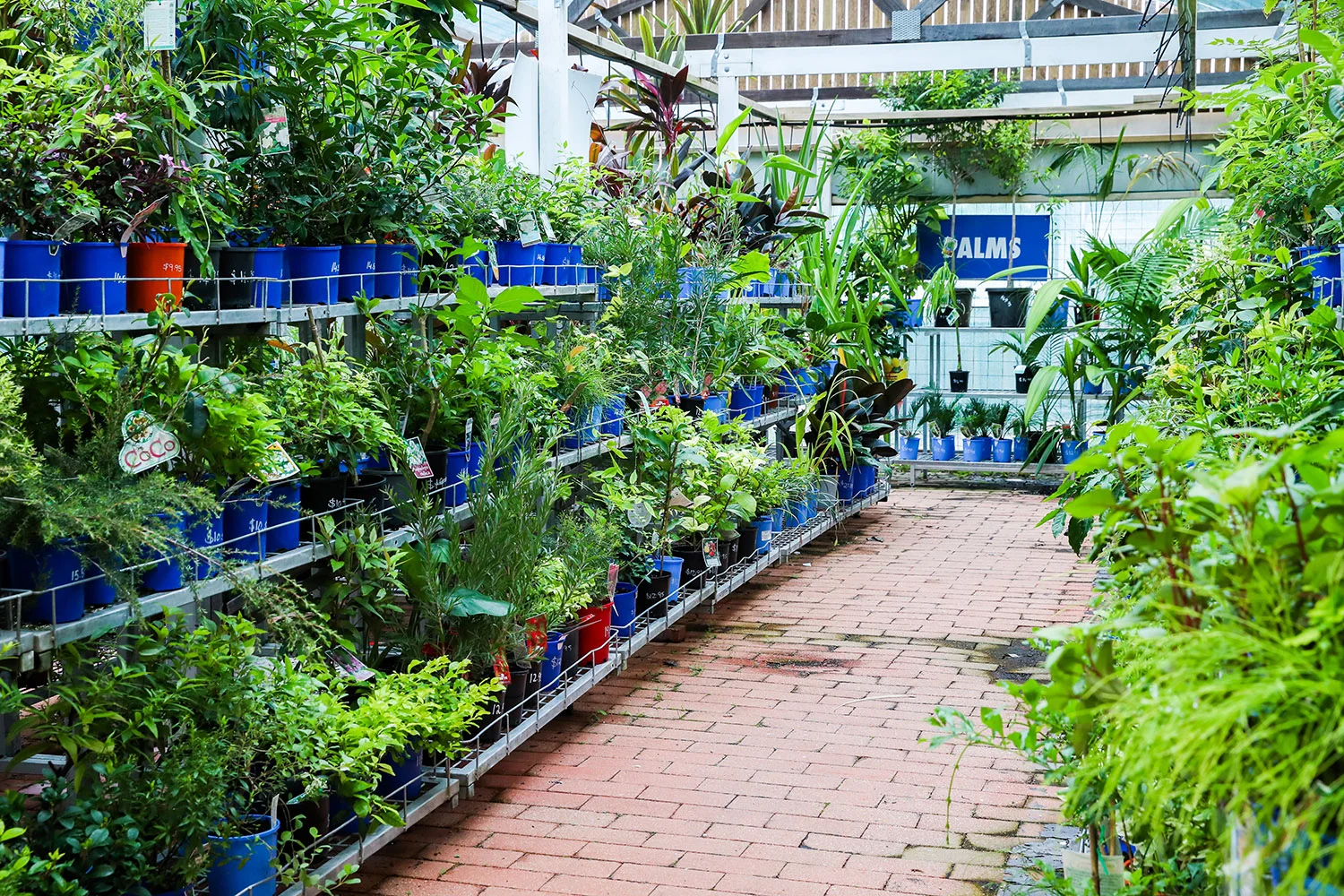 MCPhoto-2024 WEB.jpg