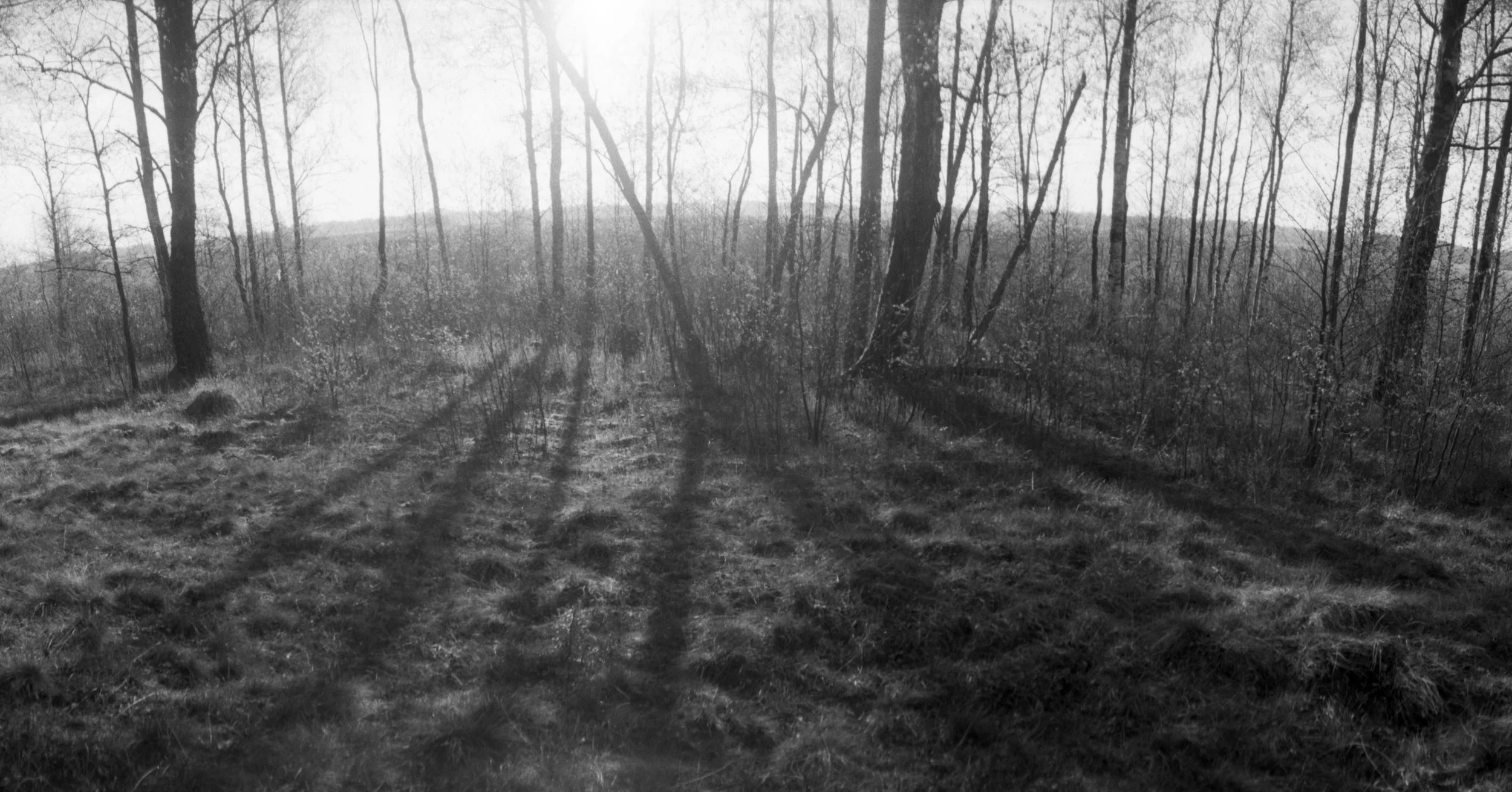 Sarastus - Dawn, Spiginas, Liettua / Lithuania 2023

S&auml;vytetty hopeagelatiinivedos, kuvattu Horizon-panoraamakameralla Ilfordin Delta 400 filkalle. Vedostettu M&ouml;rkiss&auml; l&auml;mmins&auml;vypaperille. 

Paikka oli upea, suurelta osin ump