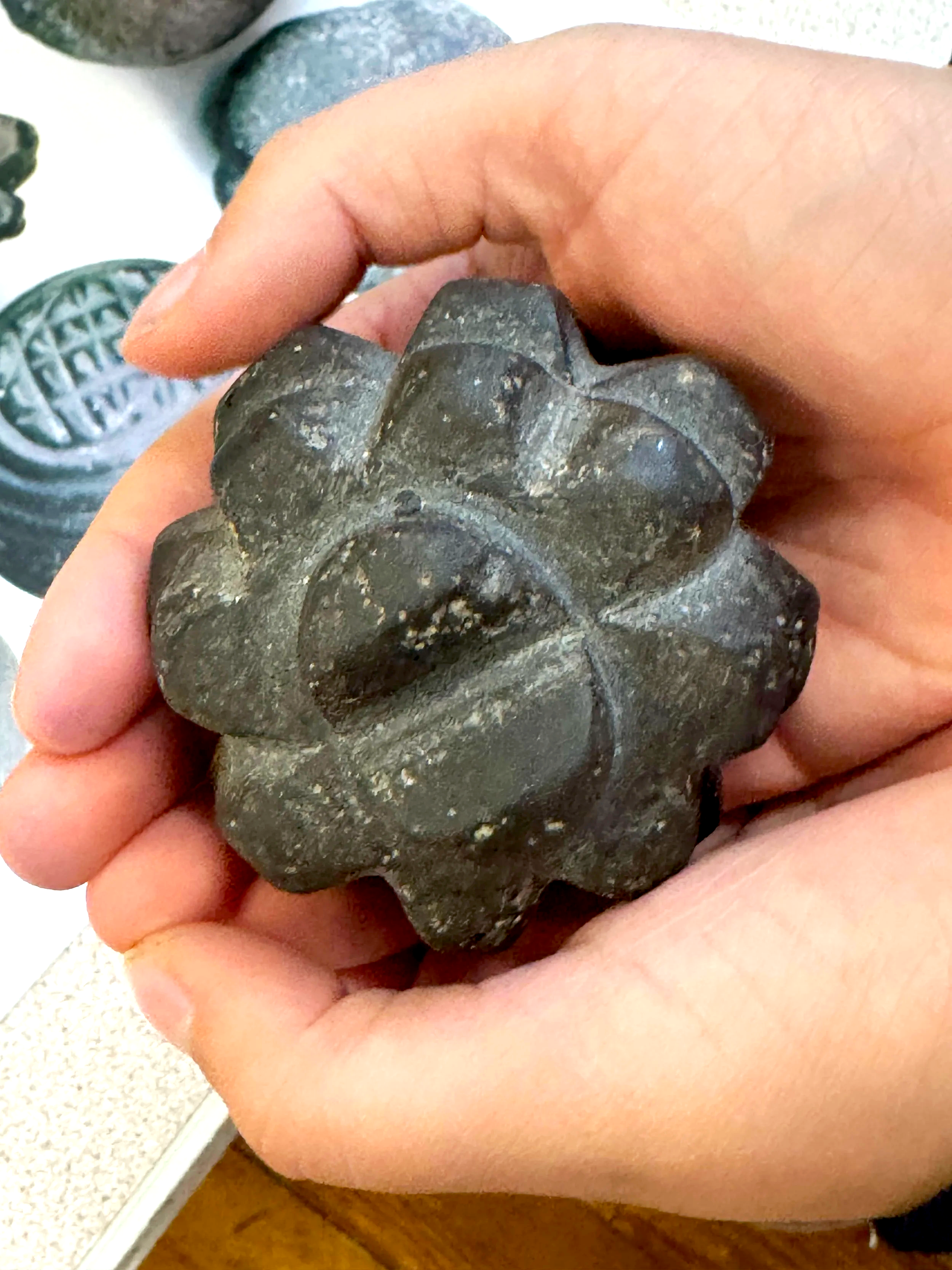 A Glimpse into Orkney's Archaeology