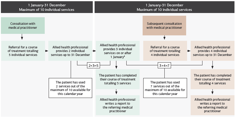 Mental health care plan referral structure