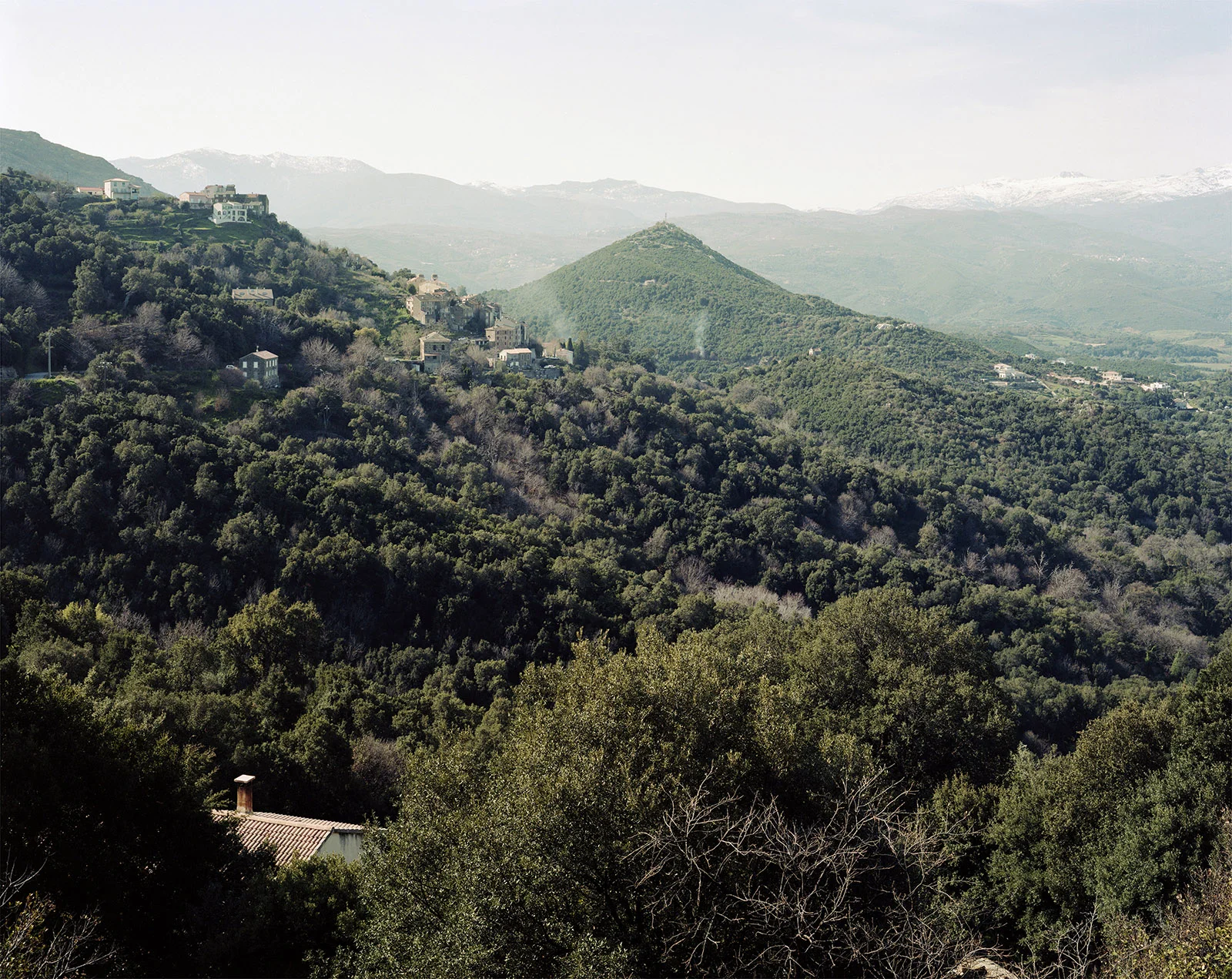 Poggio d'Oletta