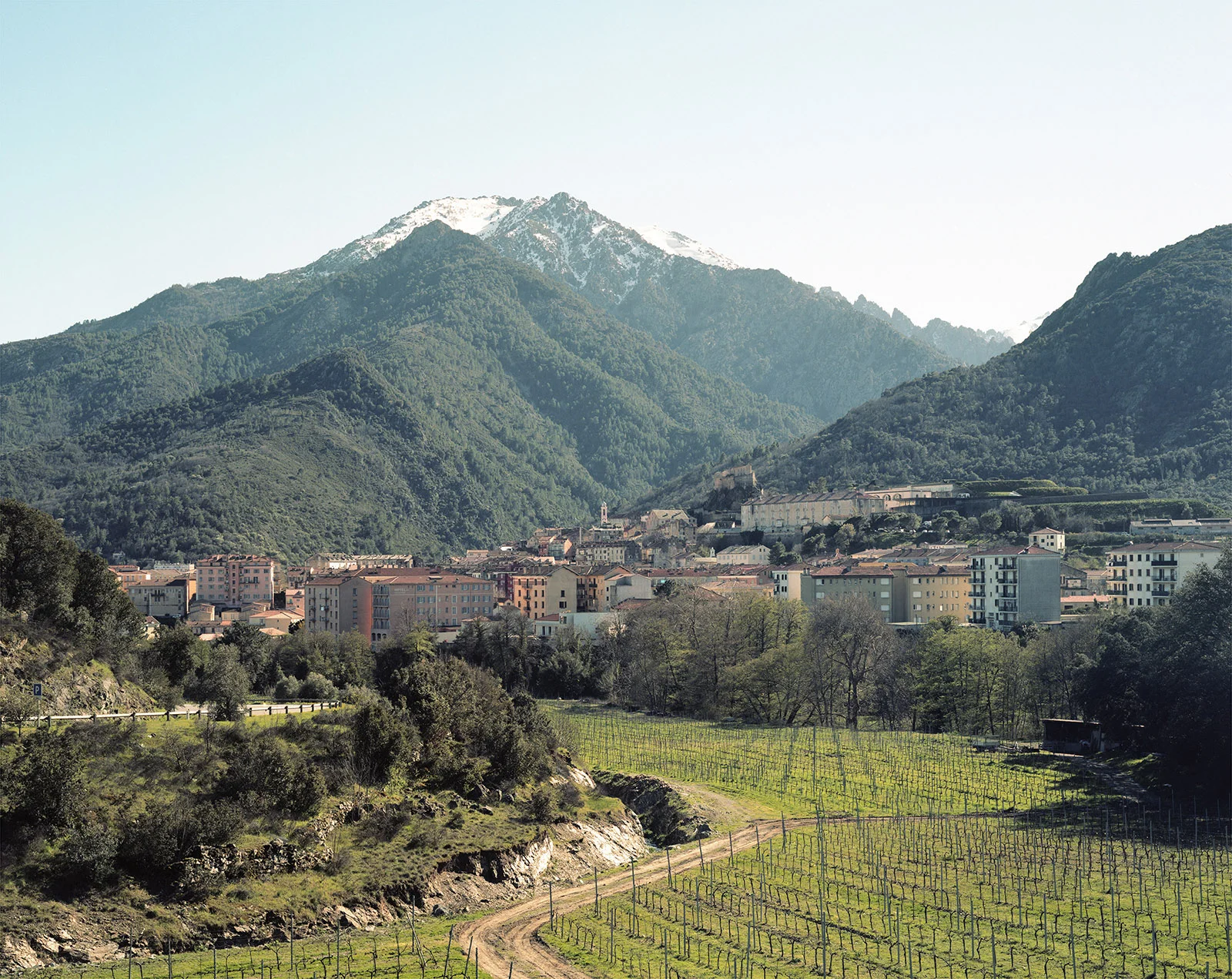 Corte and its vineyards from the old road D18