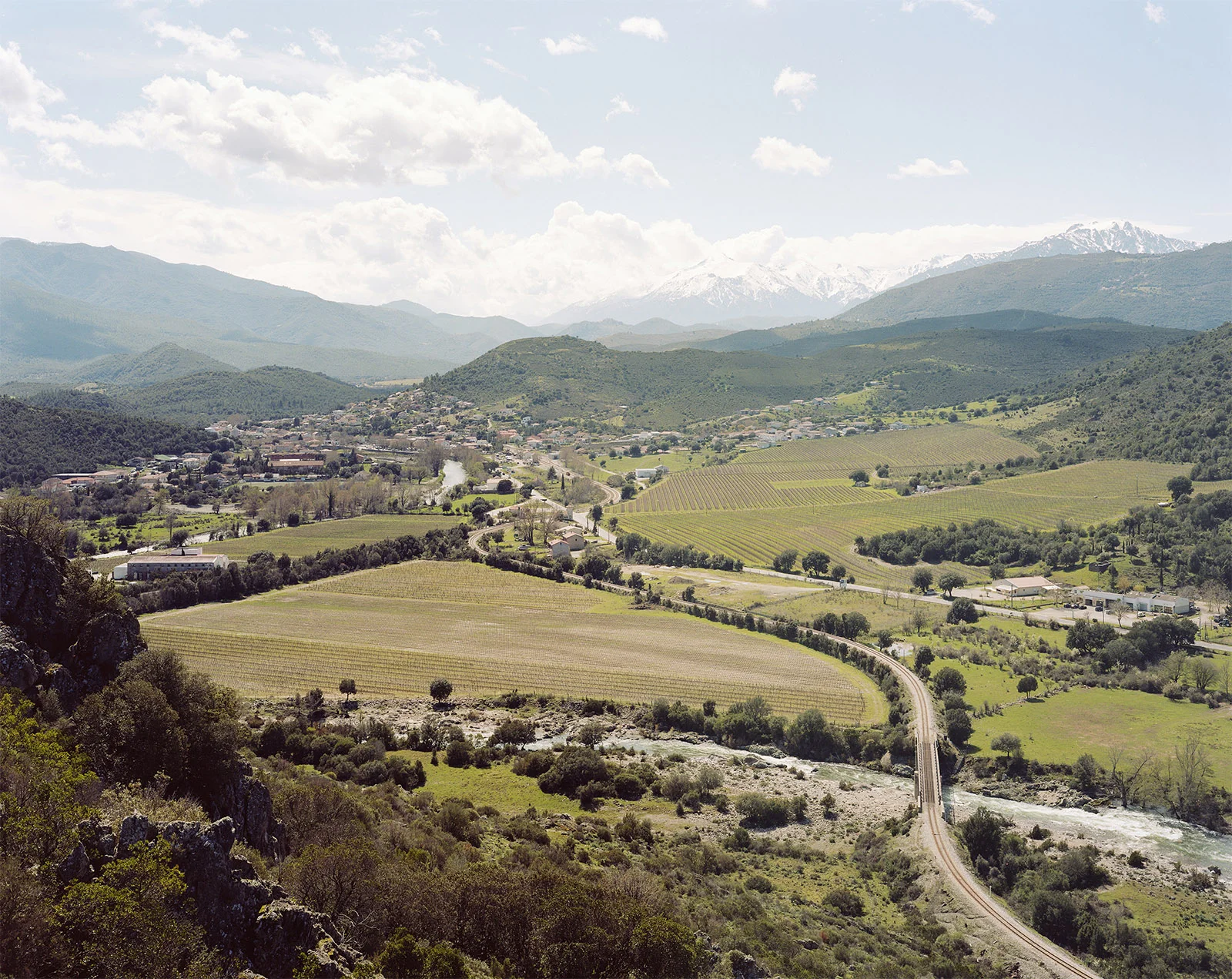 Ponte Leccia and its vineyards