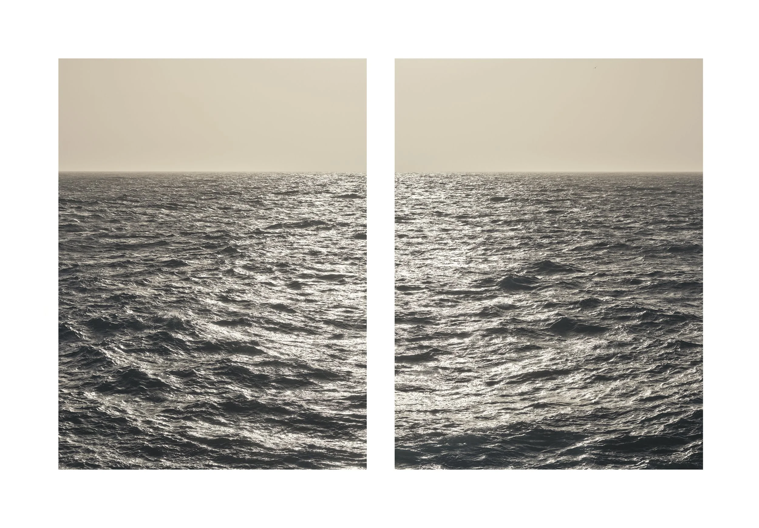 The door of Europe - dypthich I - Filippo Brancoli Pantera