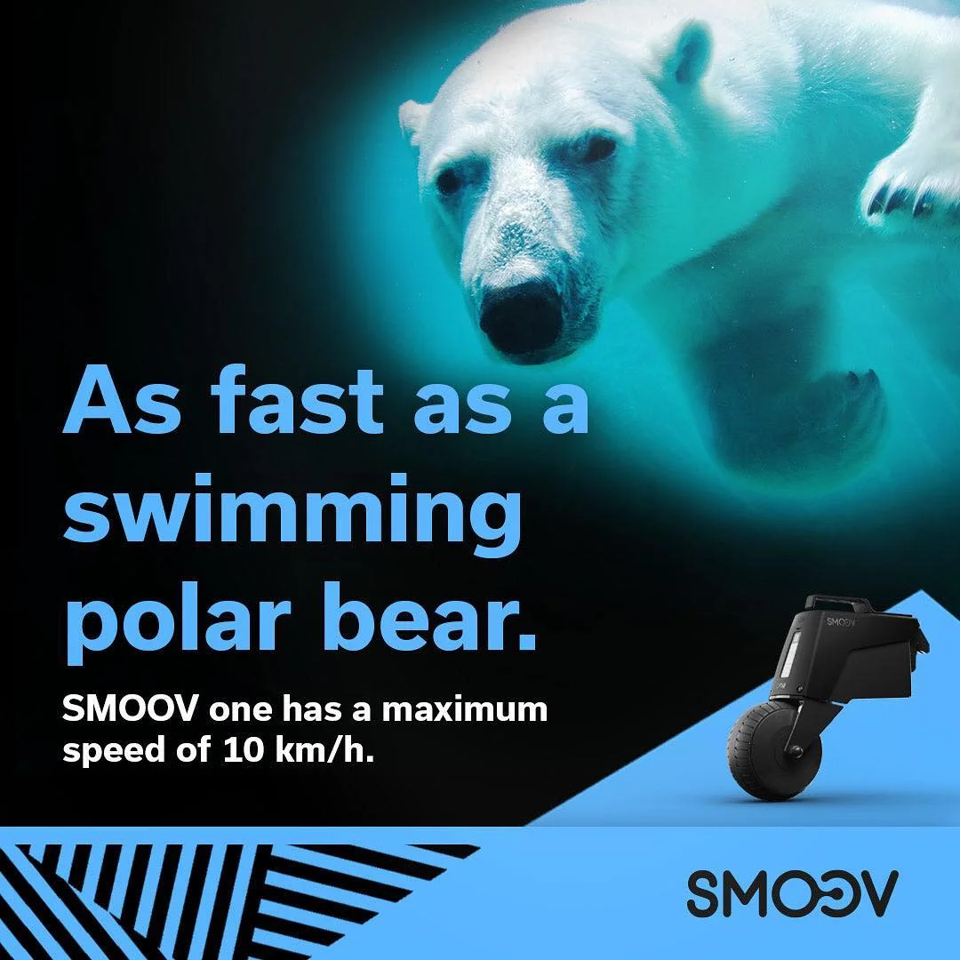 smoov. as fast as a swimming polar bear