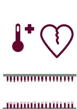 PCR AND HOW IT RELATES TO CSI Miami, COVID-19 AND DATING…