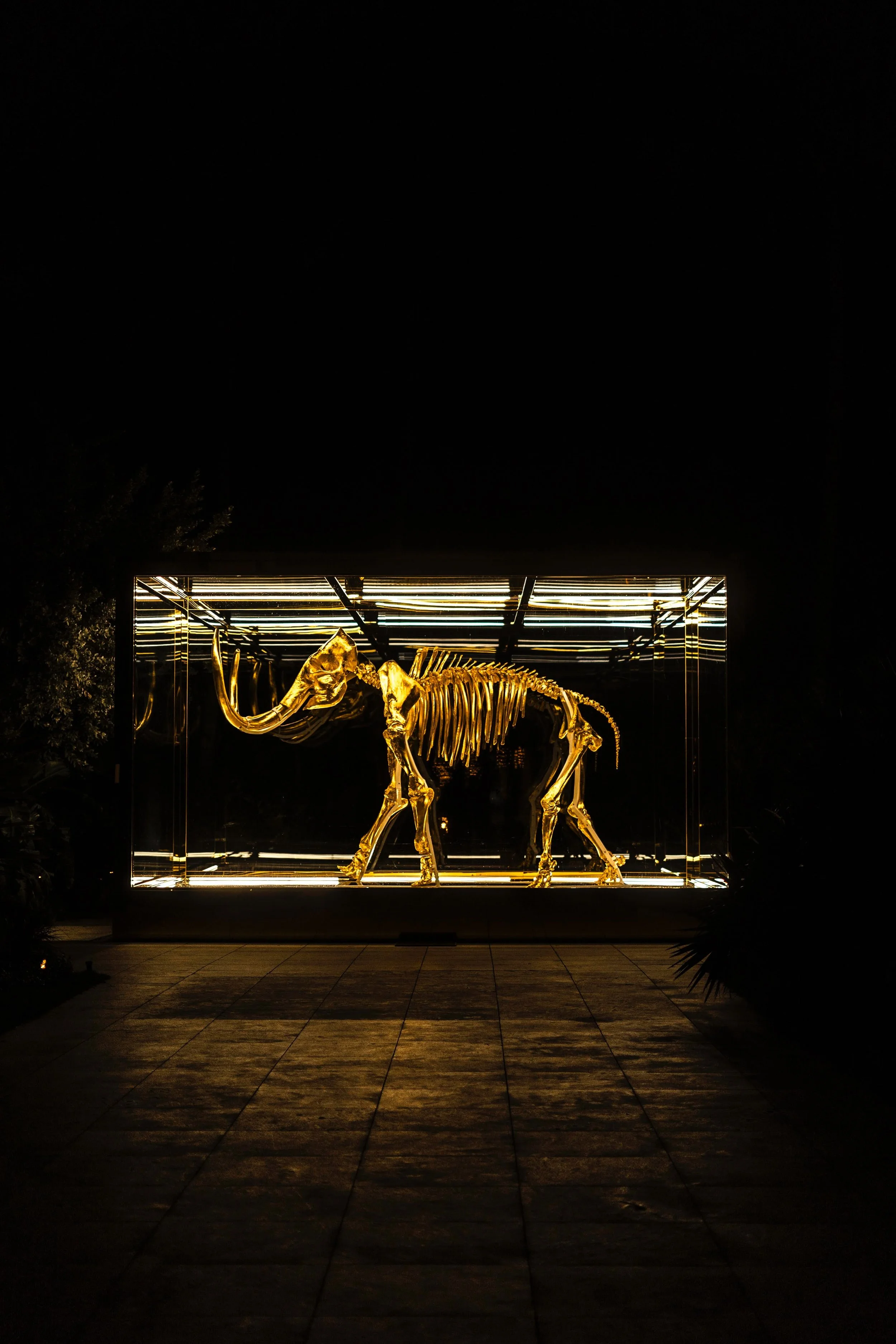 Epsiode 14: De-extinction - A mammoth project
