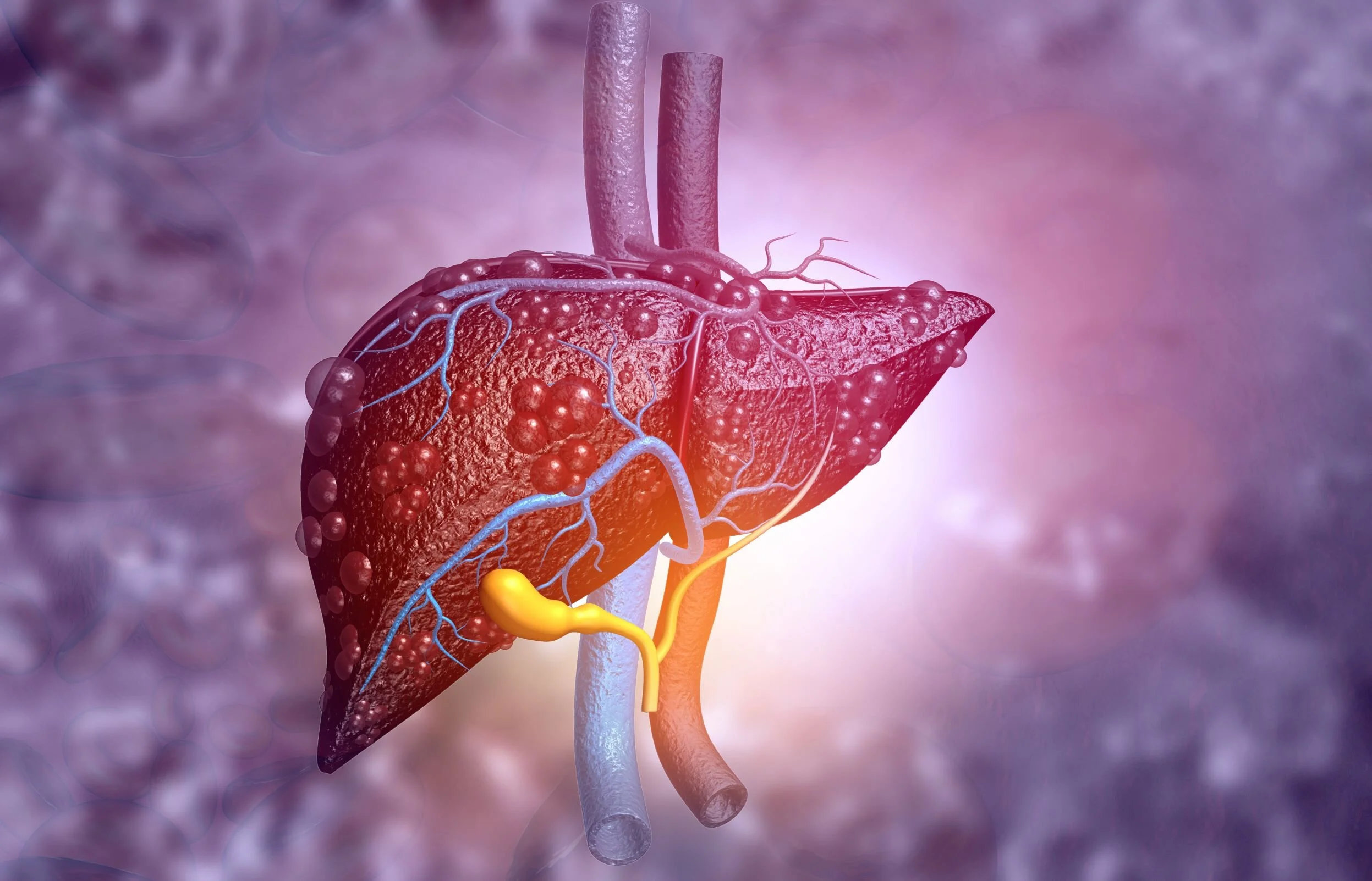 liver_desease.jpeg