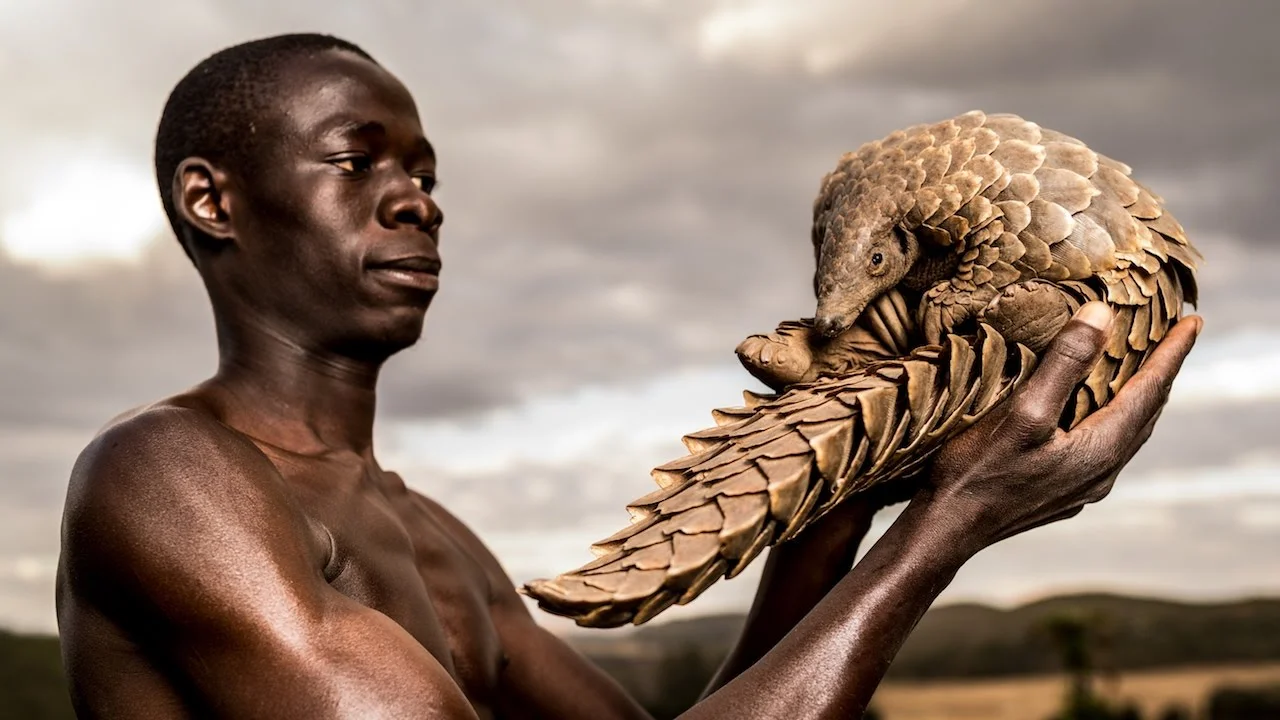 The Tikki Trust Pangolin Men .jpeg