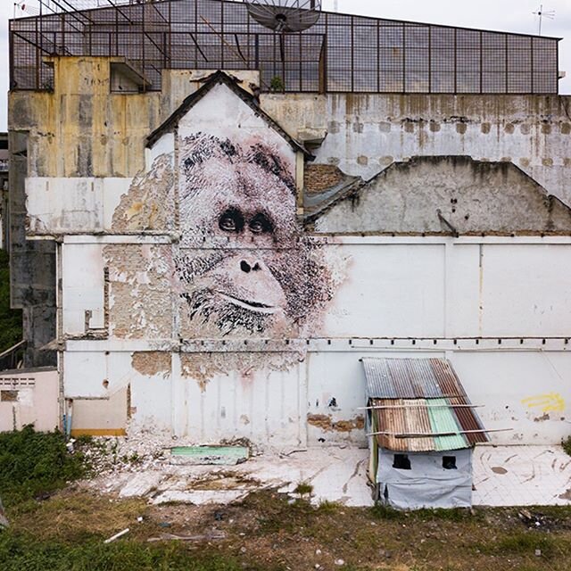 ✨💫✨#Artivist @vhils (real name Alexander Farto) hand-chiselled this mural of a Tapanuli Orangutan. He has joined the #splashandburnmovement ( the environmental campaign bringing awareness and hope to the rainforests of South-East Asia)to highlight t