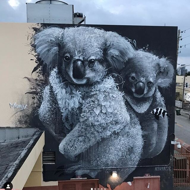 ✨💫Our #artistinfocus this week is the wonderful @ernestomaranje His murals use endangered animals to create narratives about the importance of preserving the environment.✨💫.
.
✨In the artists words...
.
&ldquo; I am constantly reminded of nature in