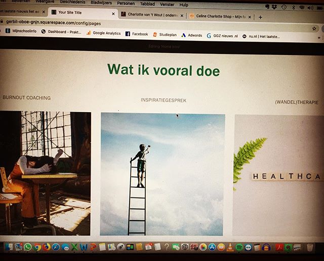 Al m&aacute;&aacute;nden stel ik het uit... mijn nieuwe site afmaken want ja: 10 andere leuke dingen te doen. Maar de spirit is gekomen... voor 2020 is ie in de lucht!