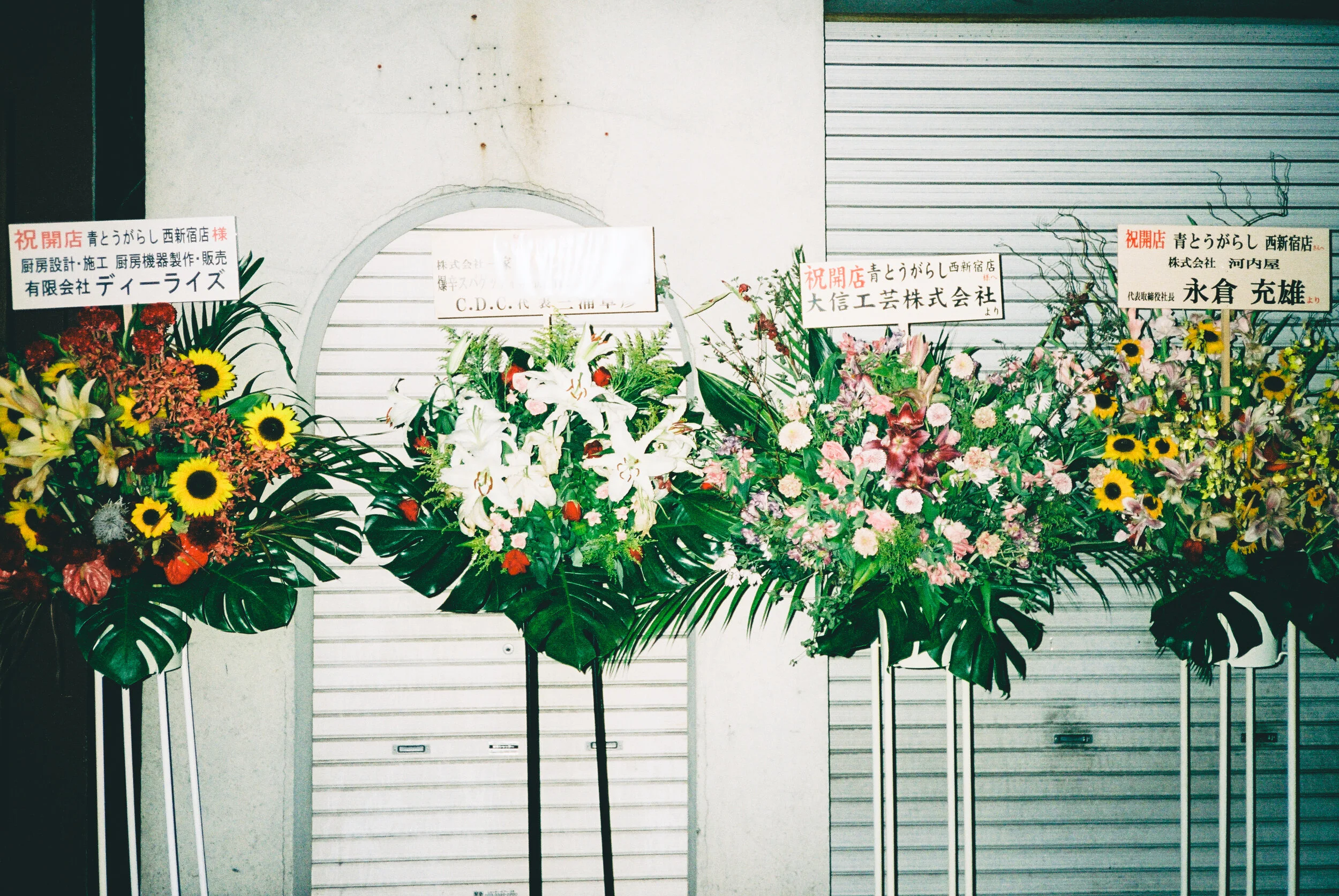 fleur_de_lis.jpg