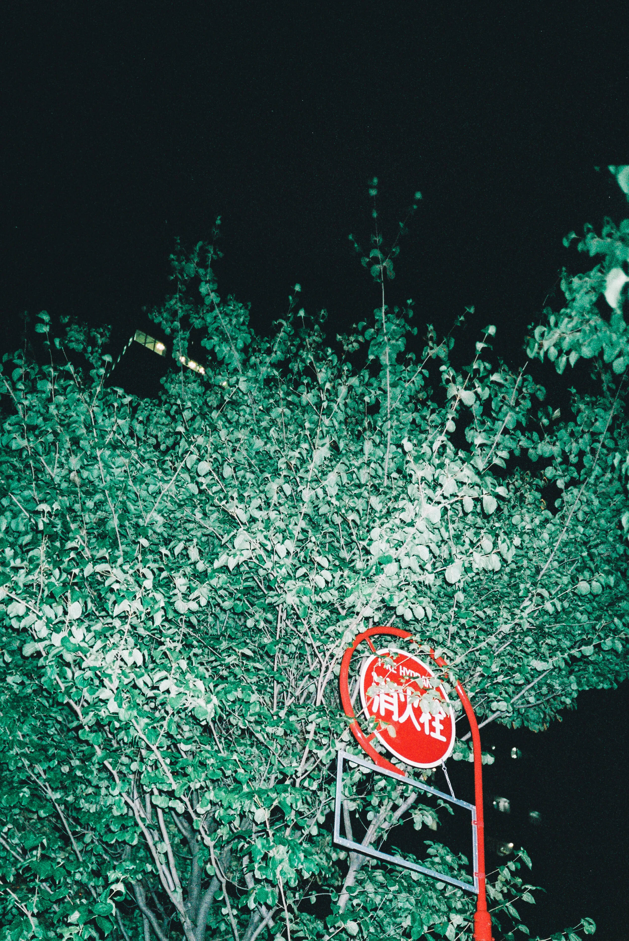 hidden.jpg
