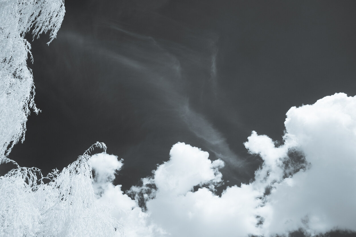 infrared_trees_clouds-2.jpg
