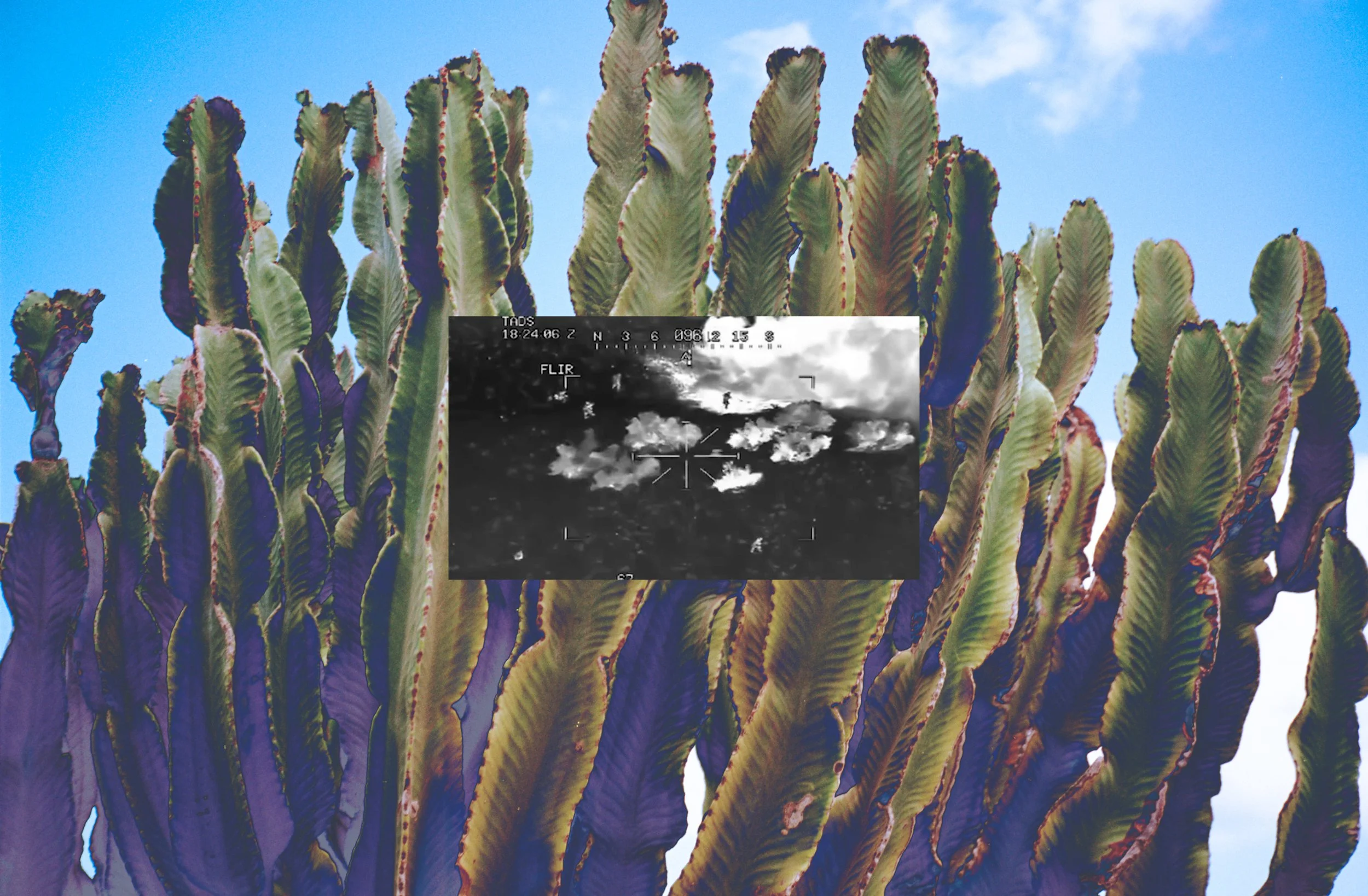Untitled_Trauma_2.jpg