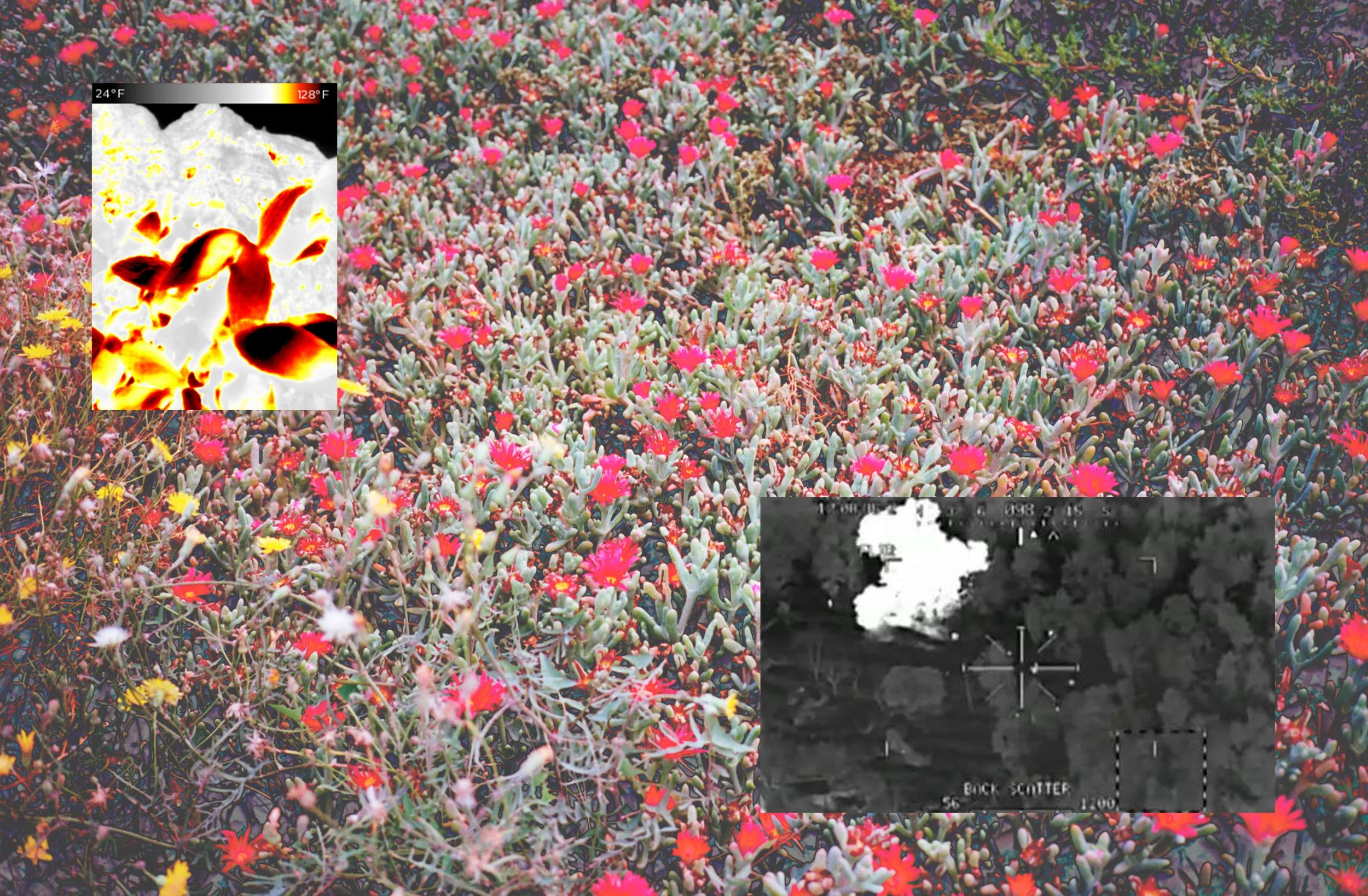 Untitled_Trauma_3.jpg