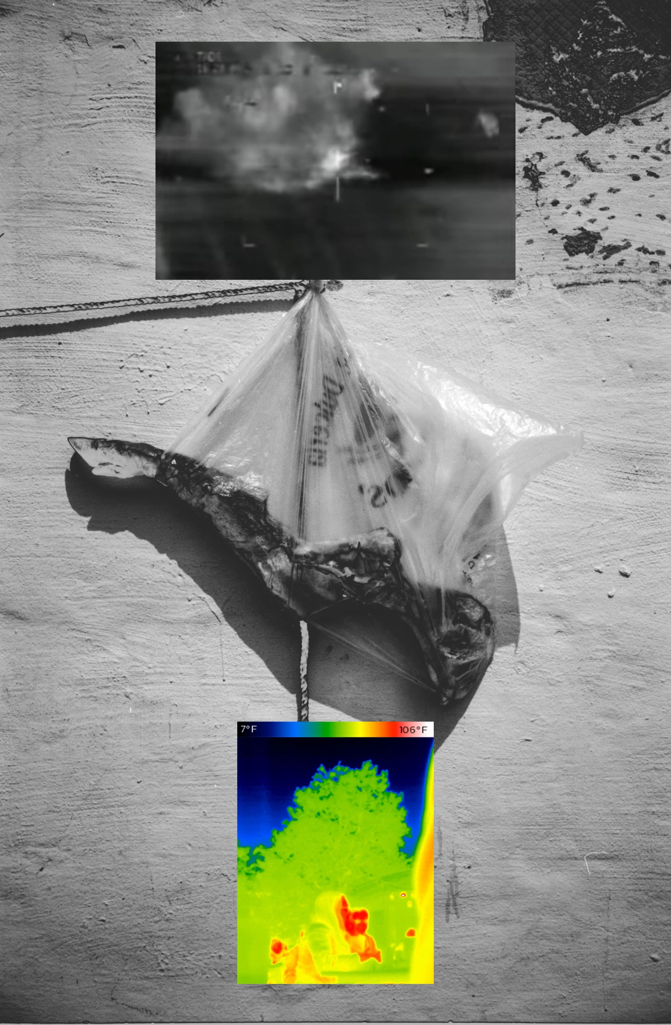 untitled_trauma_8.jpg