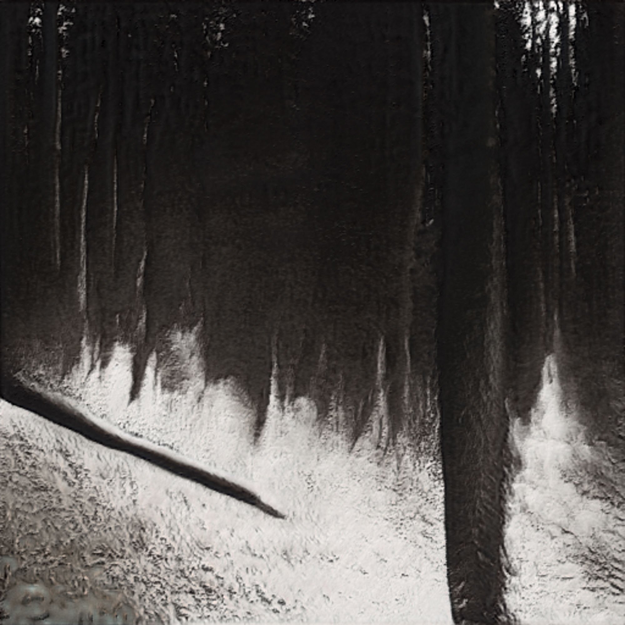 the_uncanny_forest-18.jpeg