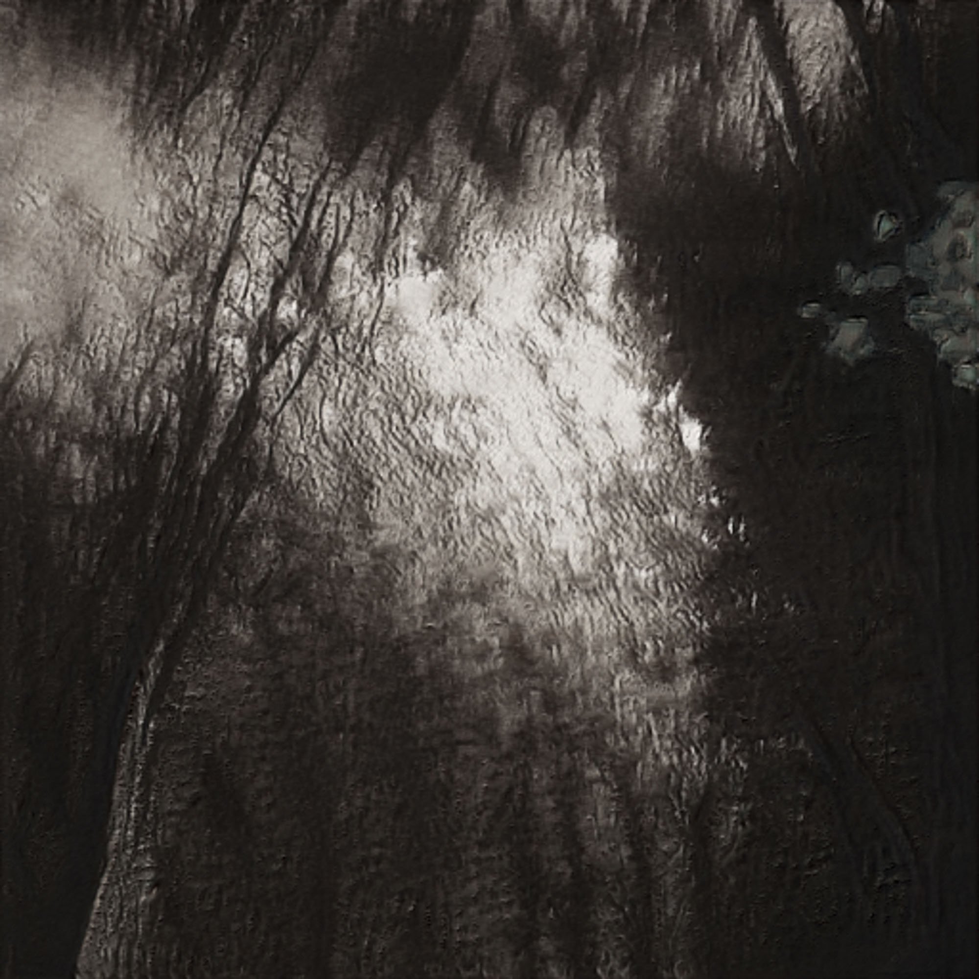 the_uncanny_forest-48.jpeg