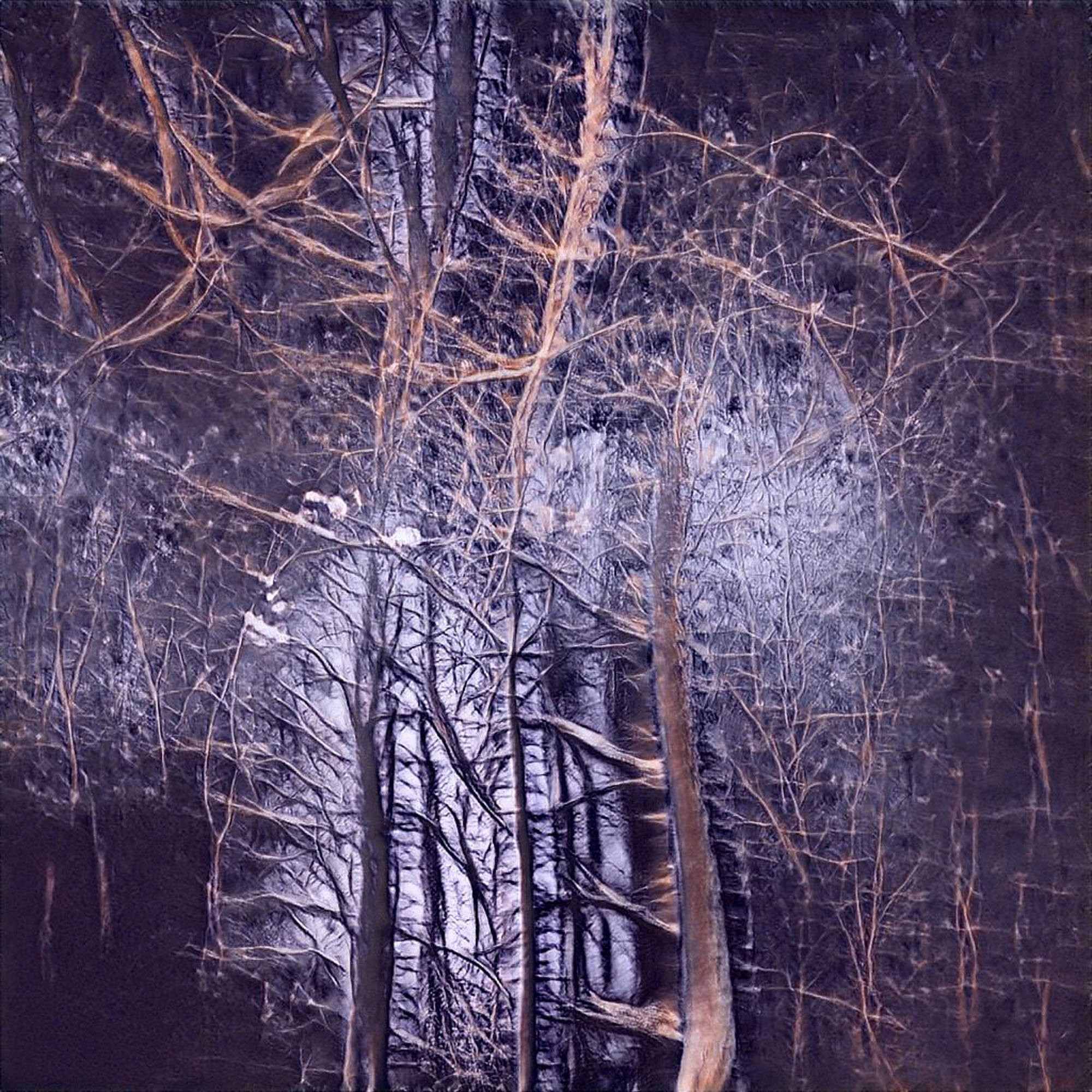 the_uncanny_forest-67.jpeg
