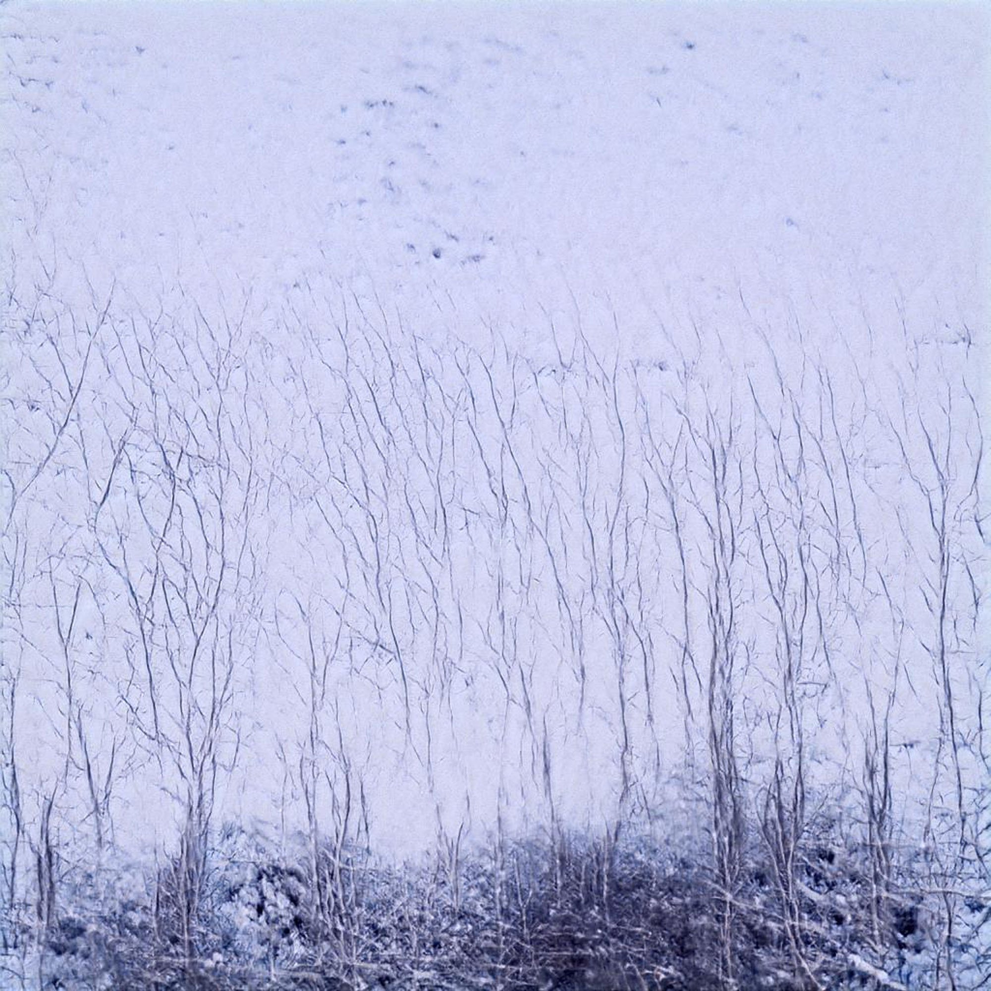 the_uncanny_forest-105.jpeg