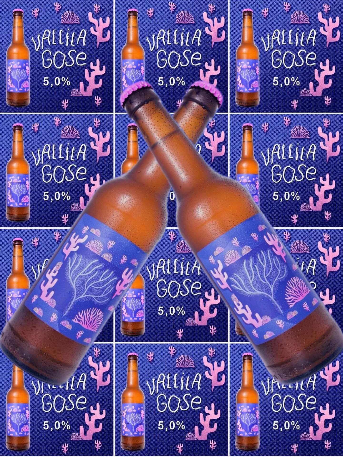 GOGOGOGO GOSEEE! 🌊🧂
Juuri hyv&auml;ksi kypsynyt, happaman maukas ja raikas. Yli vuosisadan takaisia ja Gose-joen penkereill&auml; kehittyneit&auml; saksalaisia olutperinteit&auml; vaaliva, Vallila Gose (5,0 %). Saatavilla heti panimon myym&auml;l&a