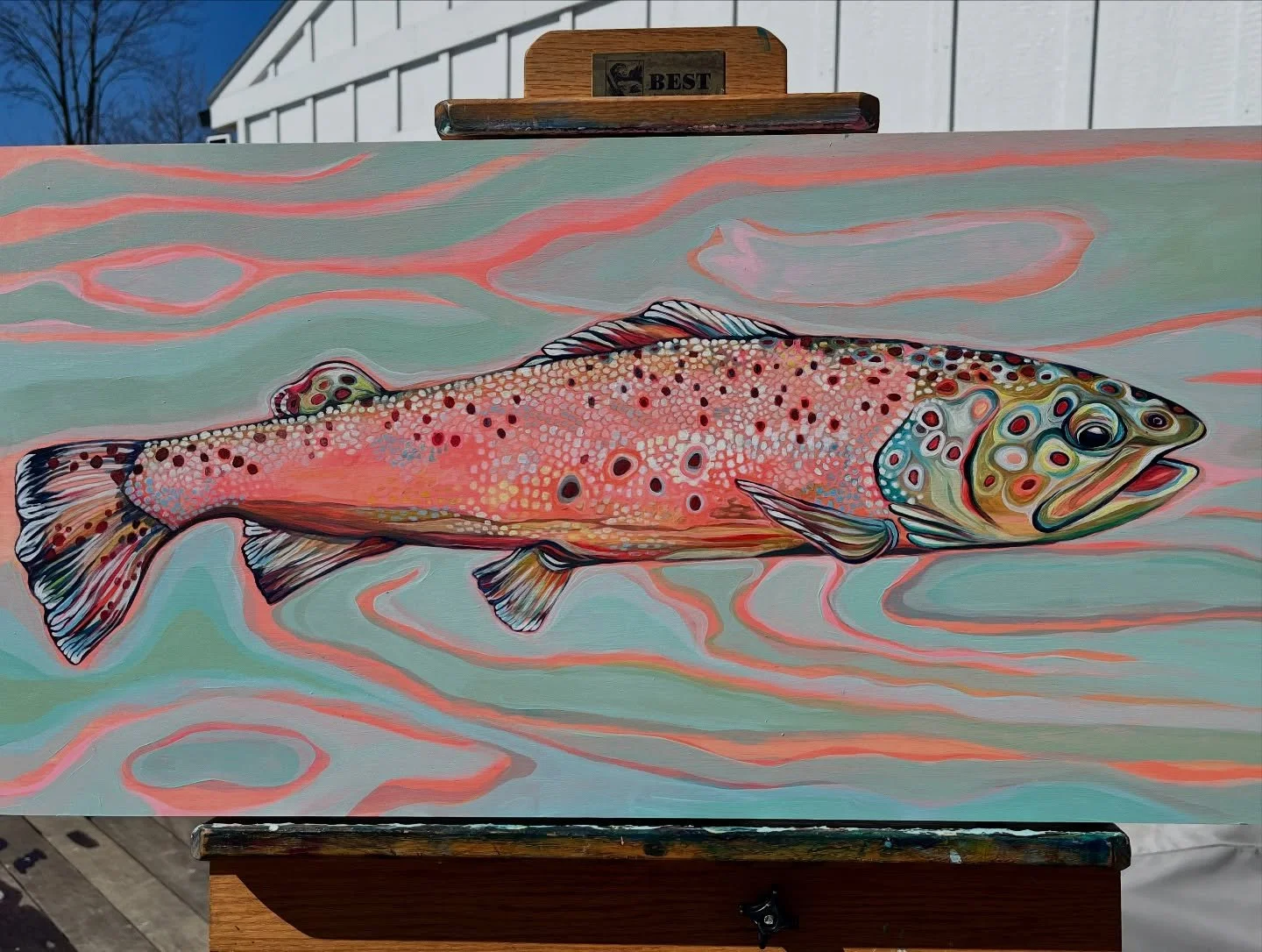 A little blue sky and sun to bring out the colors of this rainbow and a few shots of how we got here 🌈