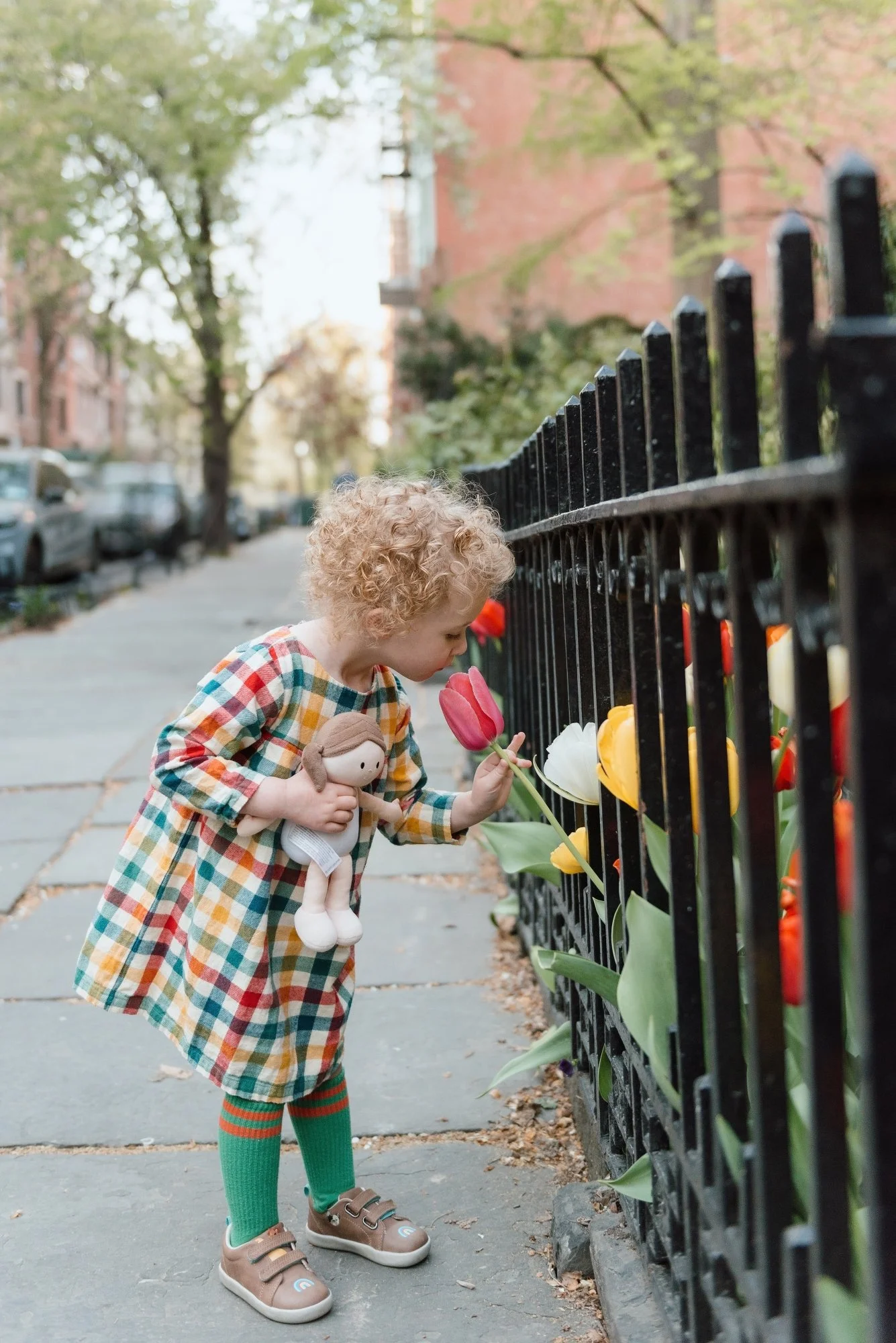 DSC_4003 Edit Color Sm.jpg