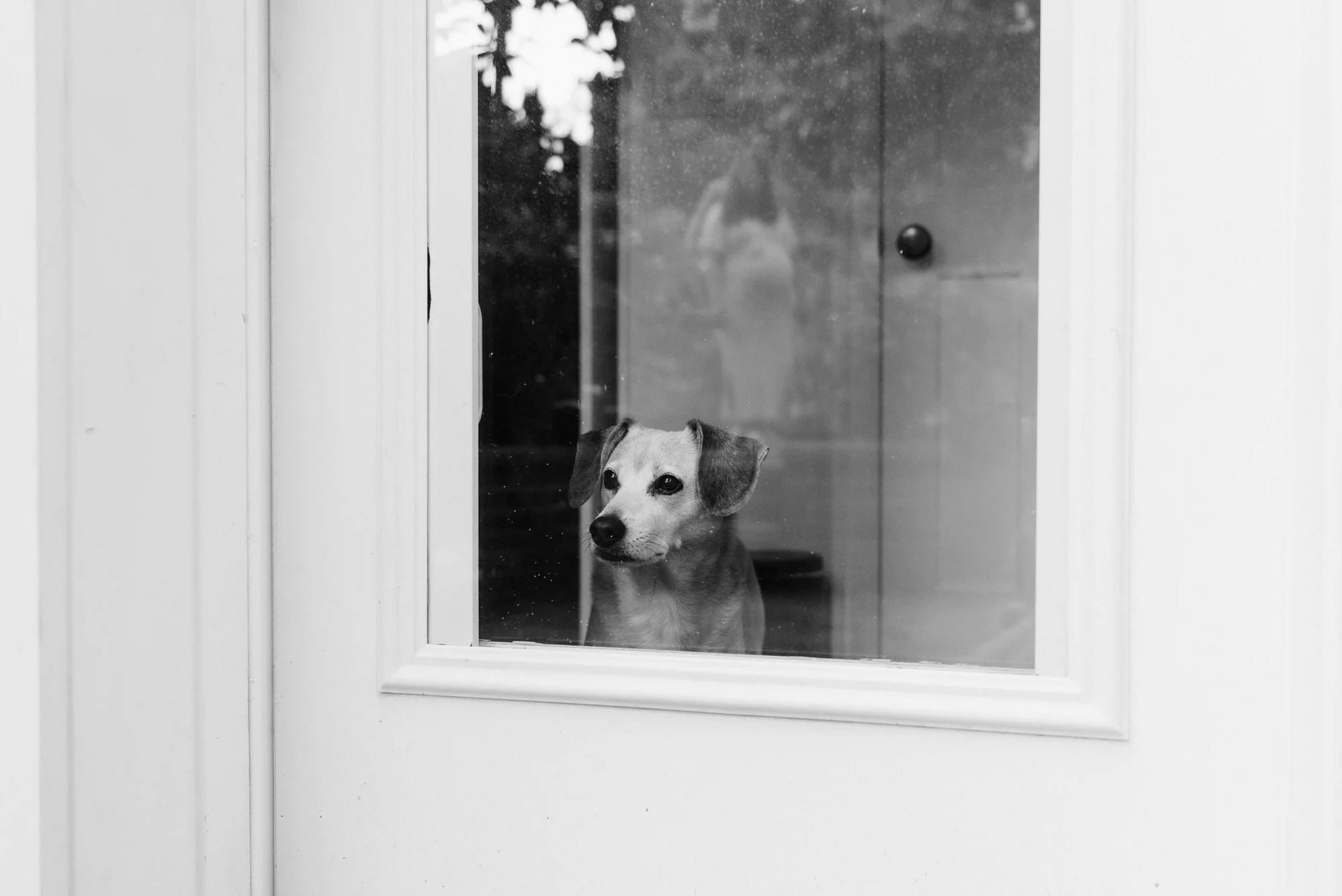 DSC_9540 Edit Sm Sm BW.jpg