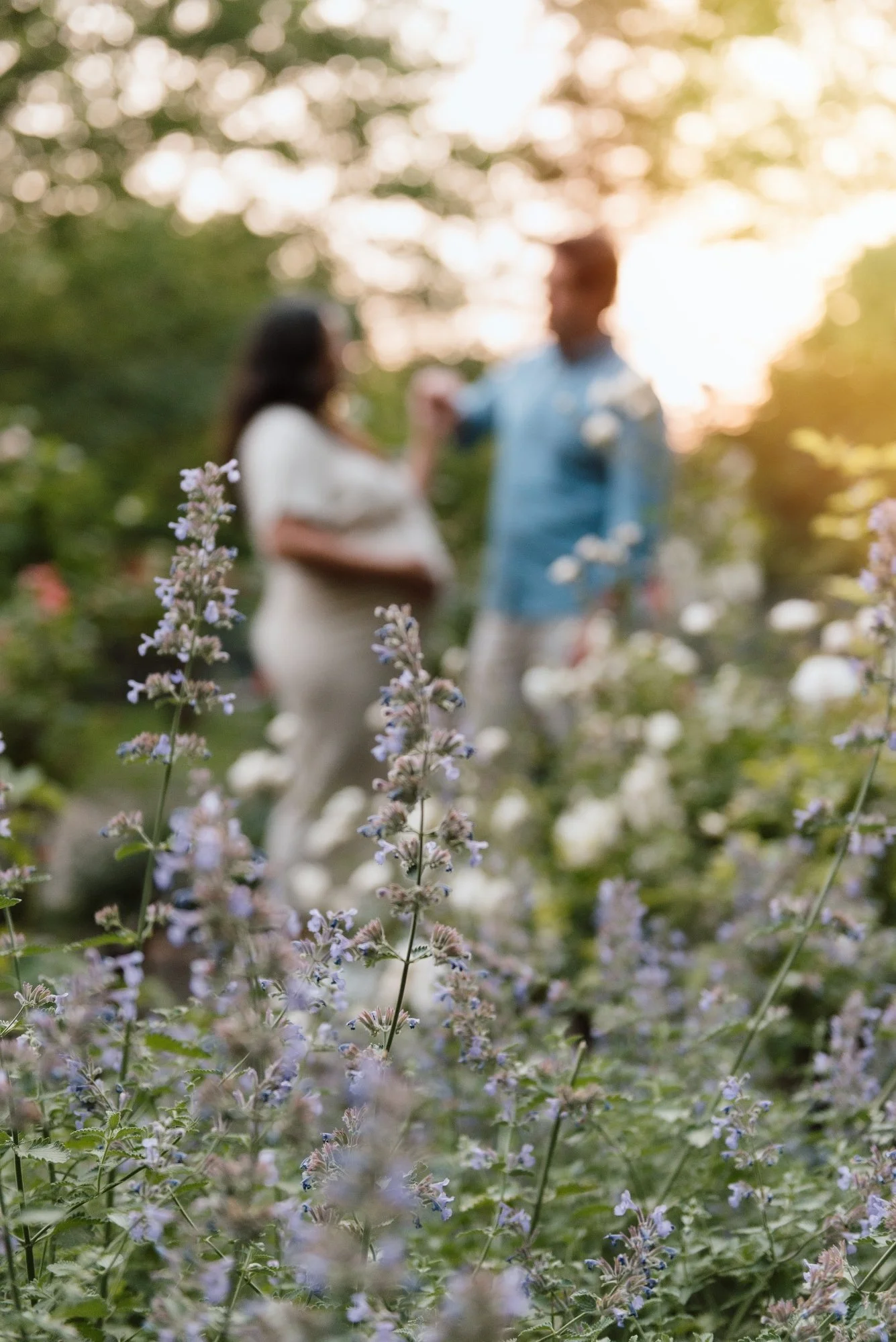 DSC_9631 Edit Sm.jpg