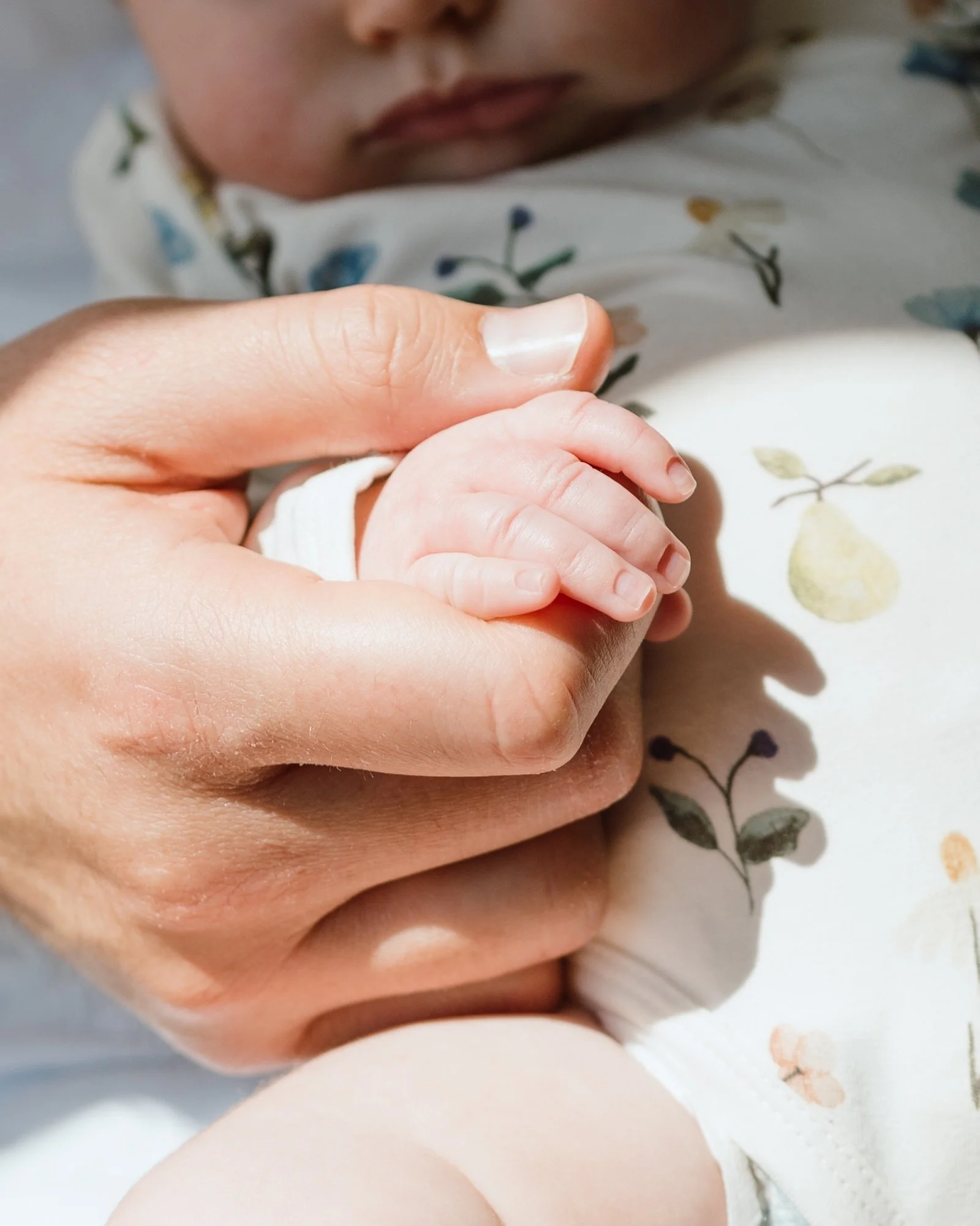 DSC_3282 Edit Color Sm.jpg