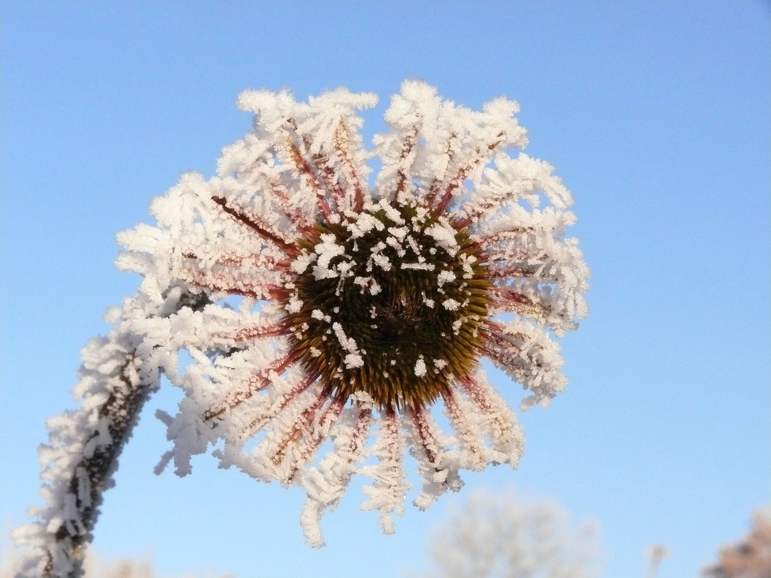 Looking after Winter skin