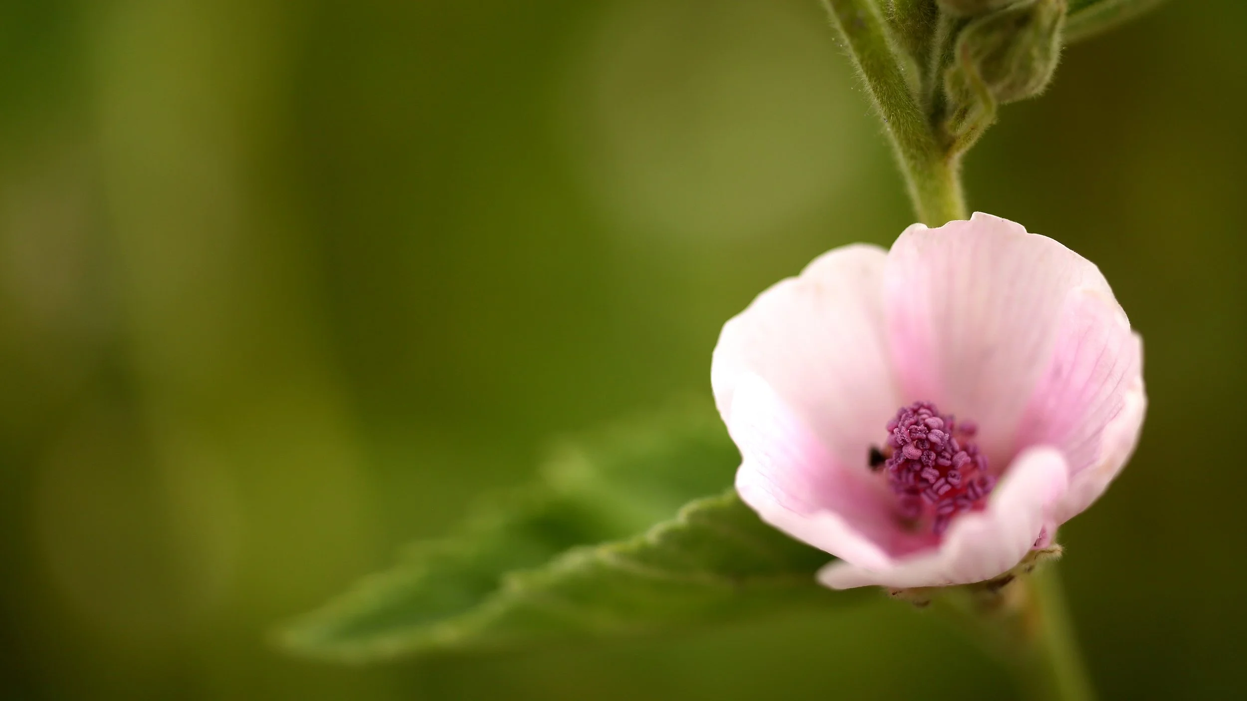 Our 2022 Skincare Trend Predictions!