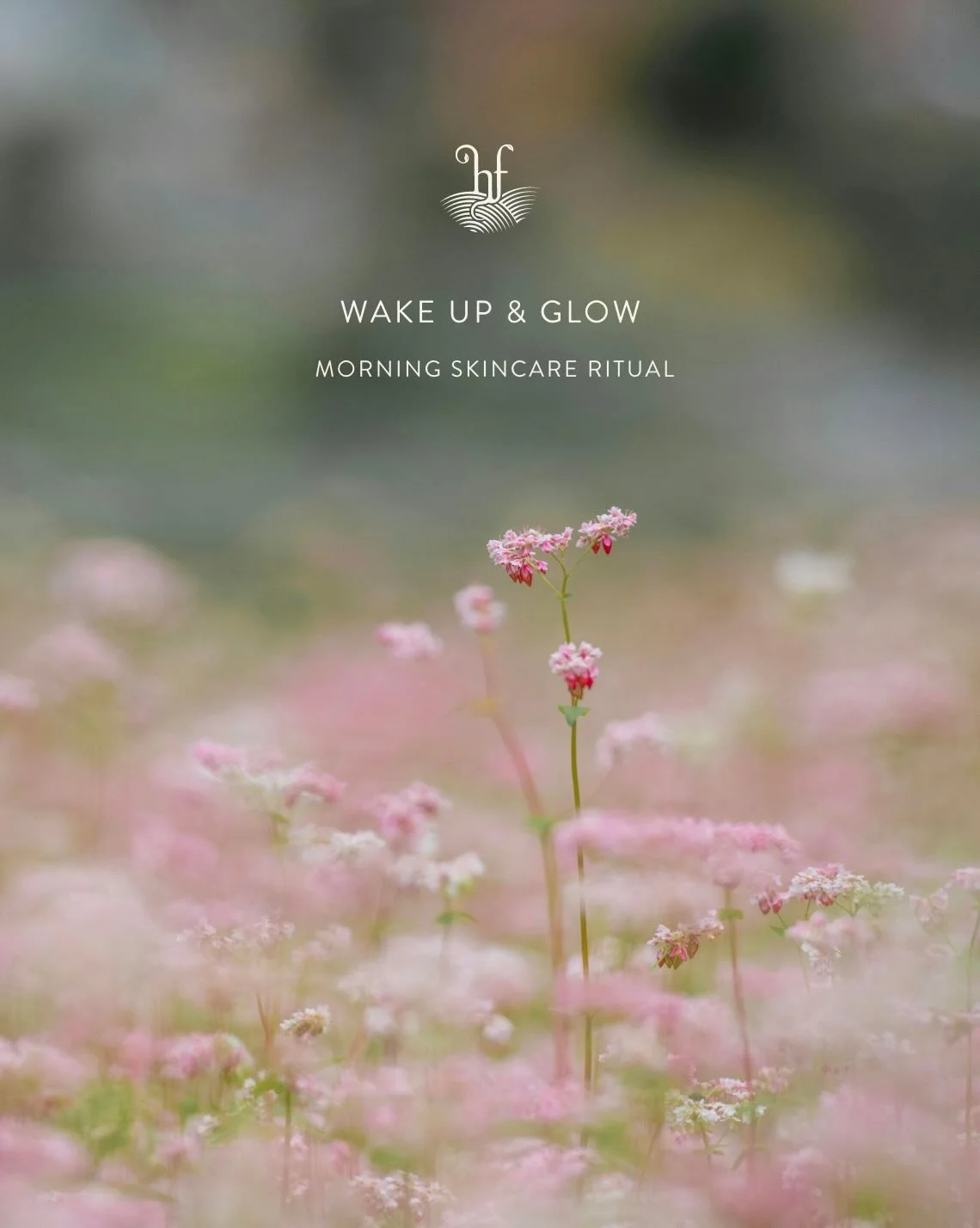 Wake up &amp; glow ✨

As the morning light begins to arrive earlier and earlier, it&rsquo;s an ideal time to re-think your morning skincare rituals ✨

#Herbfarmacyrituals #Wakeupandglow #Springisspringing