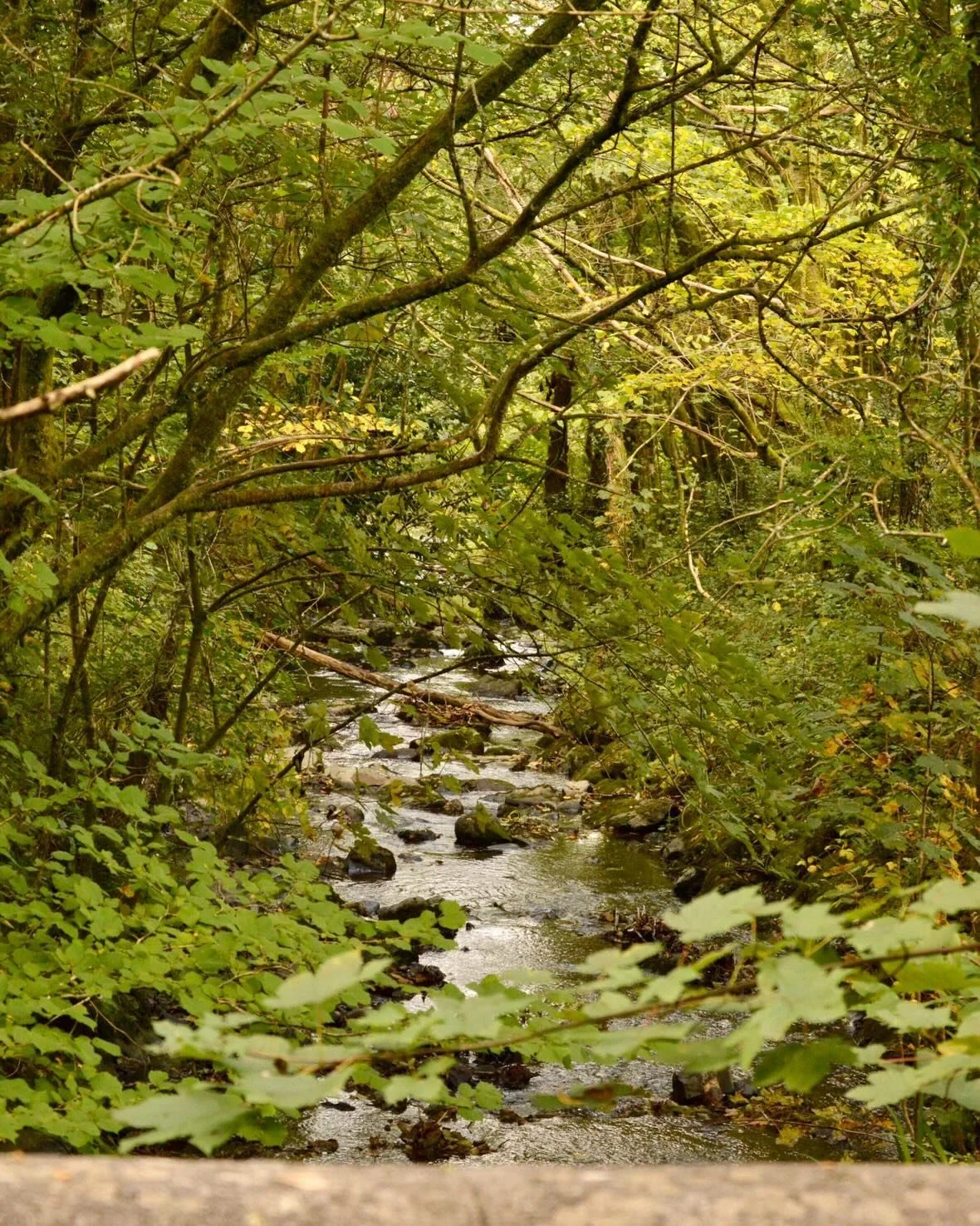 Lighter mornings, gently lifting us into the day 🌿
Making it that little bit easier to rise, step outside, and breathe before the world fully wakes ✨

A quiet reminder that you don&rsquo;t have to rush.
Be soft with yourself this morning.

Photos by