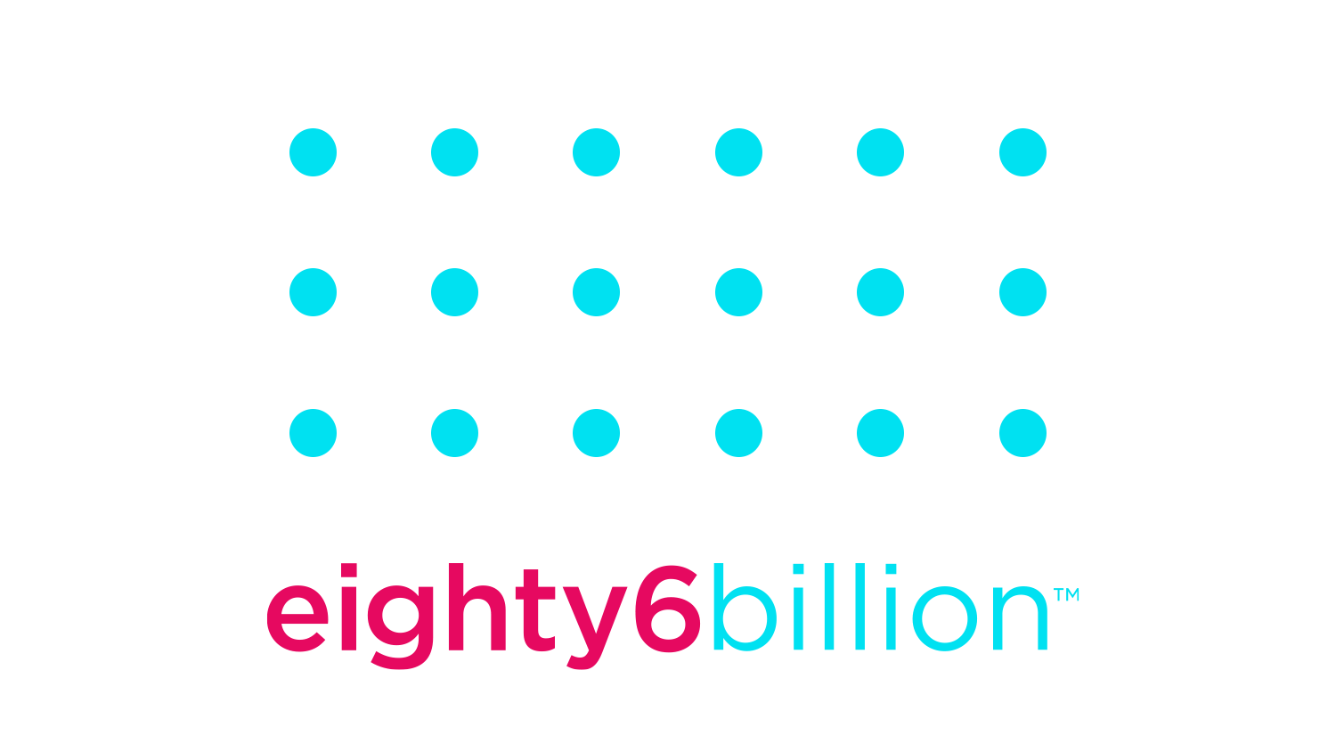 86_Billion_Braille_Logo_White_1500x844.gif