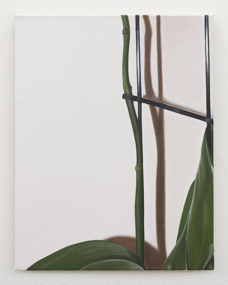  Orchid | oil on linen | 45 x 35 cm | Private collection 