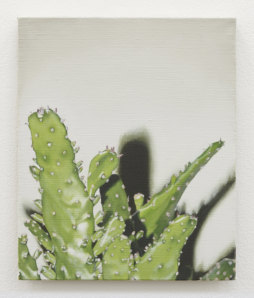  Cactus | oil on linen | 30 x 25 com 