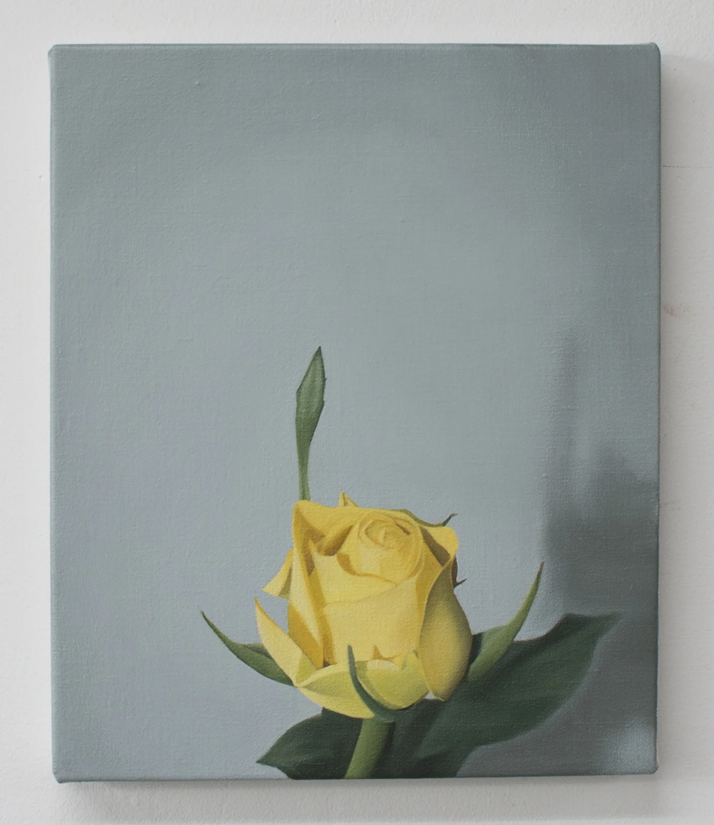Yellow rose | 2018 | Oil on linen | 30 x 25 cm | OPW Collection IRE